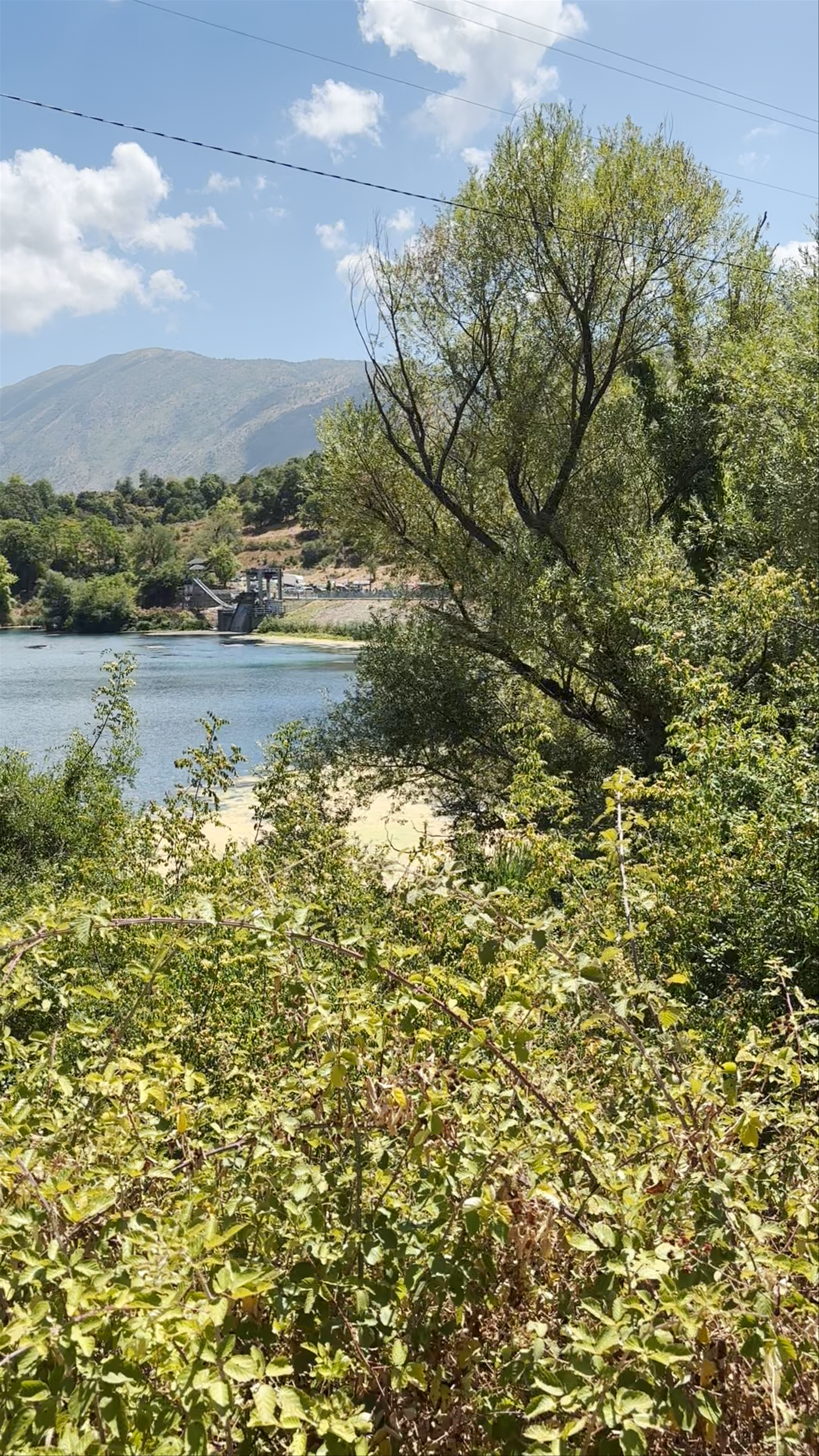 Dam of Bistrica