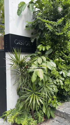 Casa Ofelia