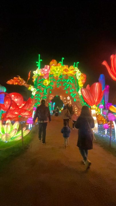 Glowfari - Zoos Near Me - Oakland, California