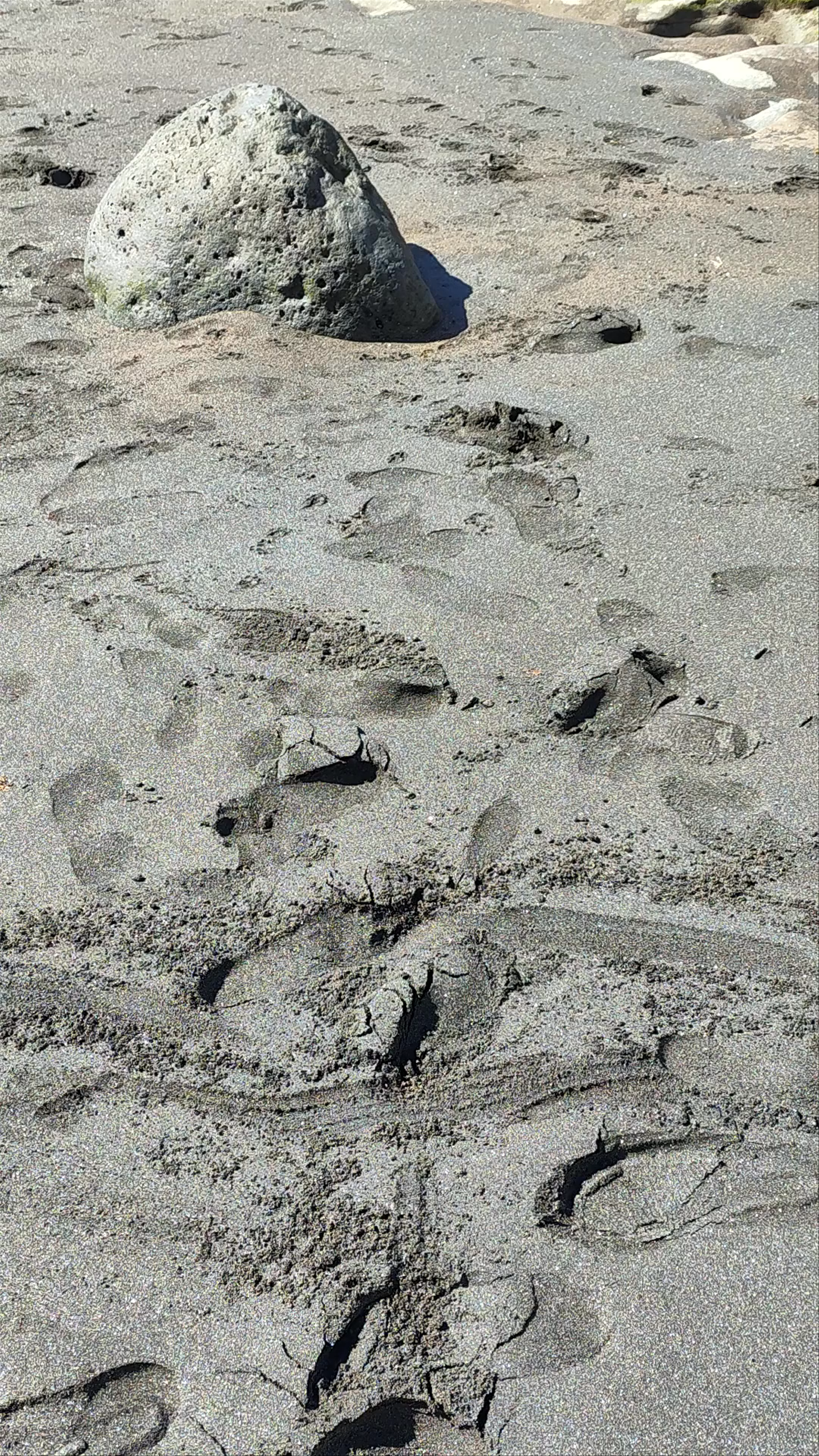 Playa de Tufia