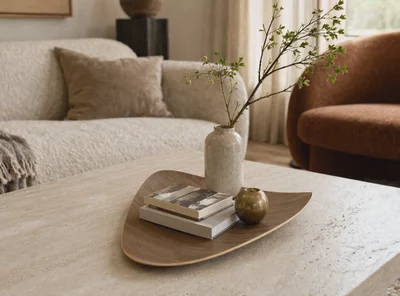 Preview image for video