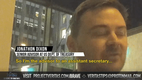 Video Thumbnail Loop