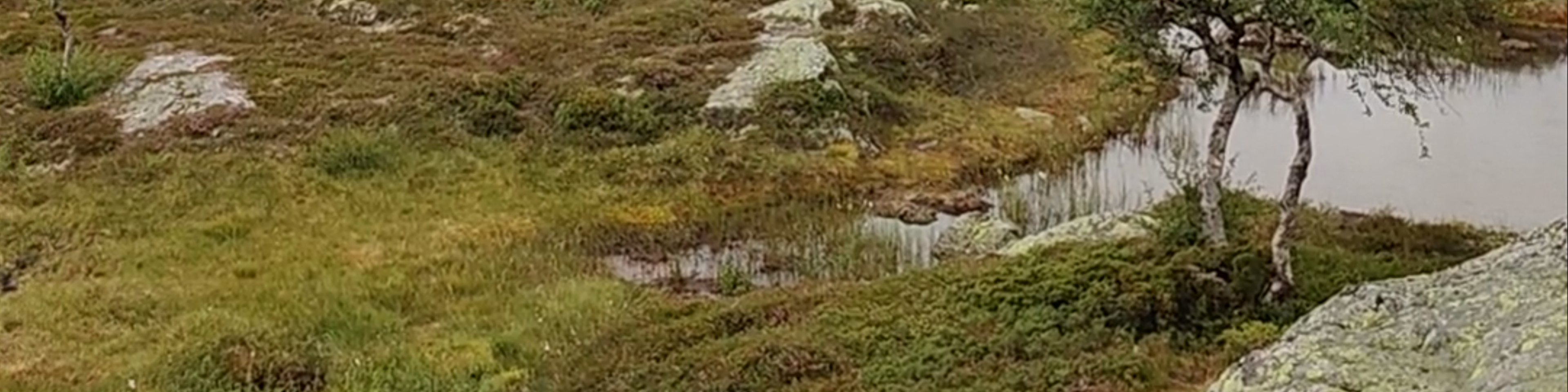 Telemark