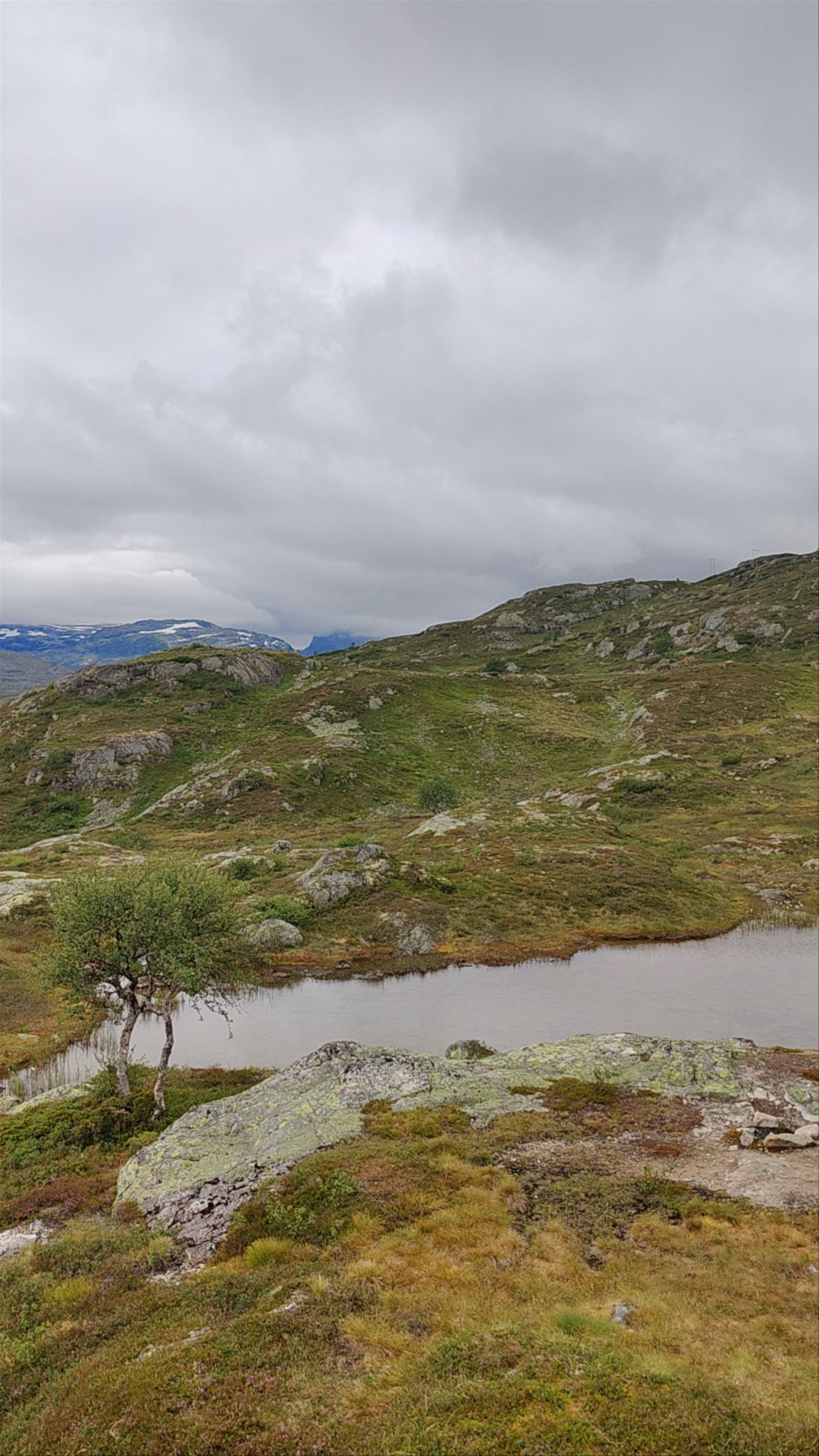 Rasteplass Vestland Viewpoint