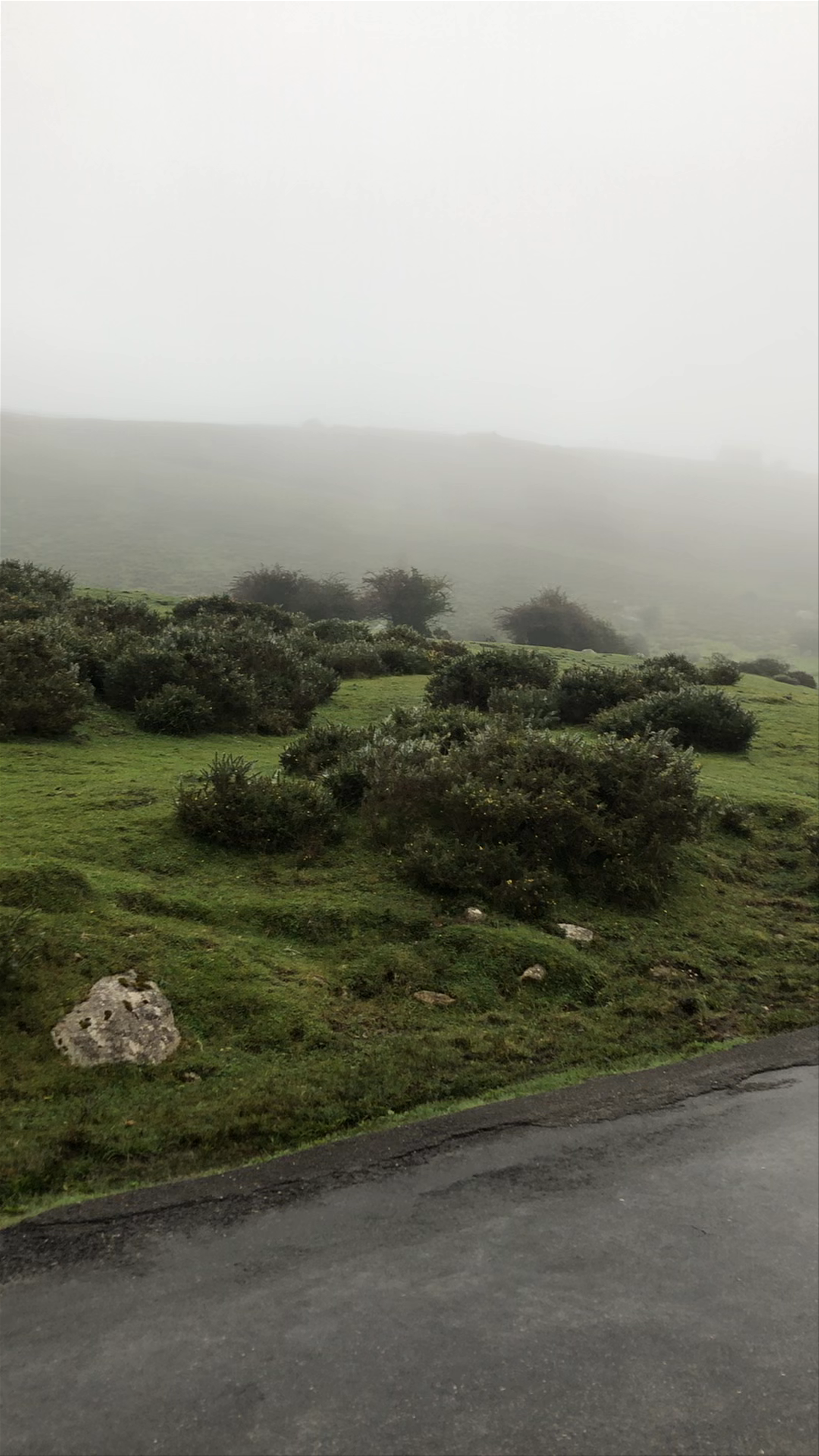 Parque Nacional dos Picos de Europa