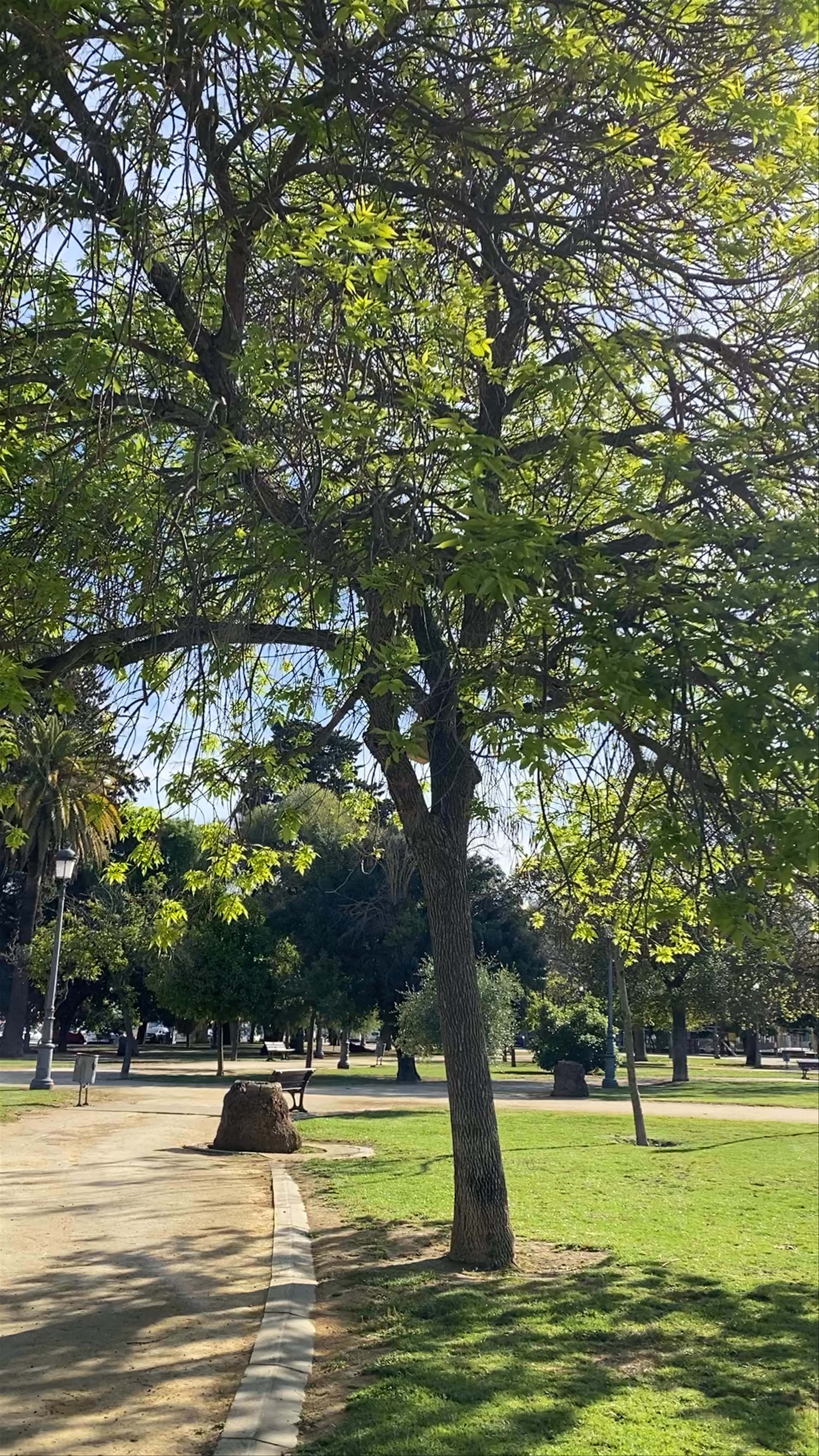 Parque El Retiro