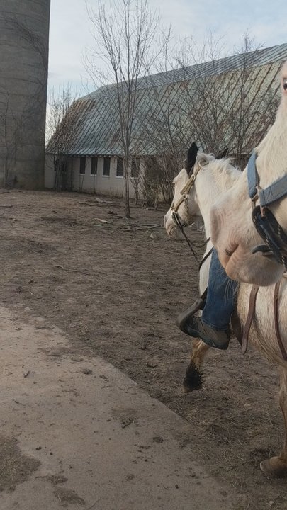 Castle Strasburg - Horseback Riding Near Me - Midland, Virginia