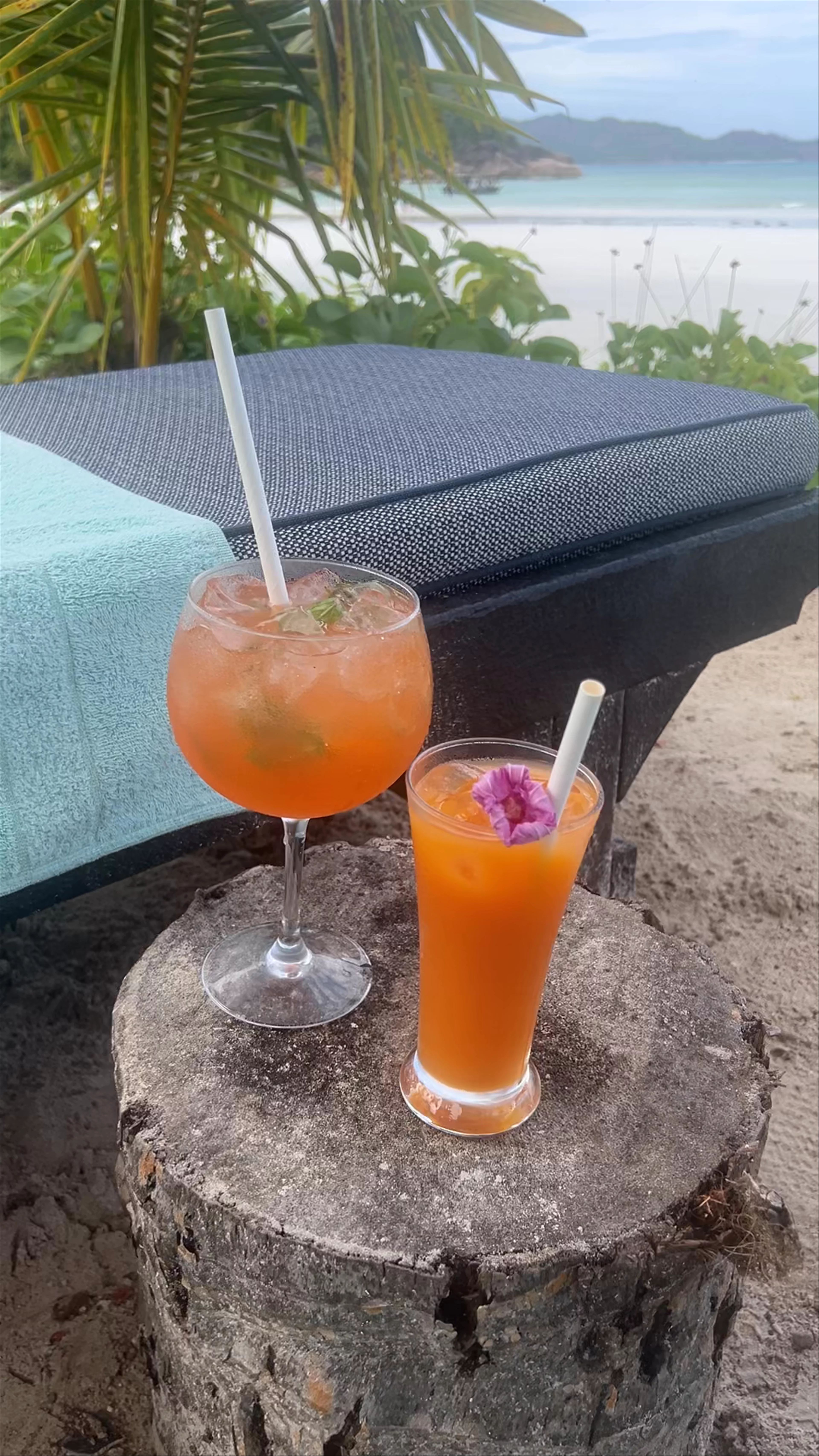 Cafe des Arts, Cote D'or, Anse Volbert Village