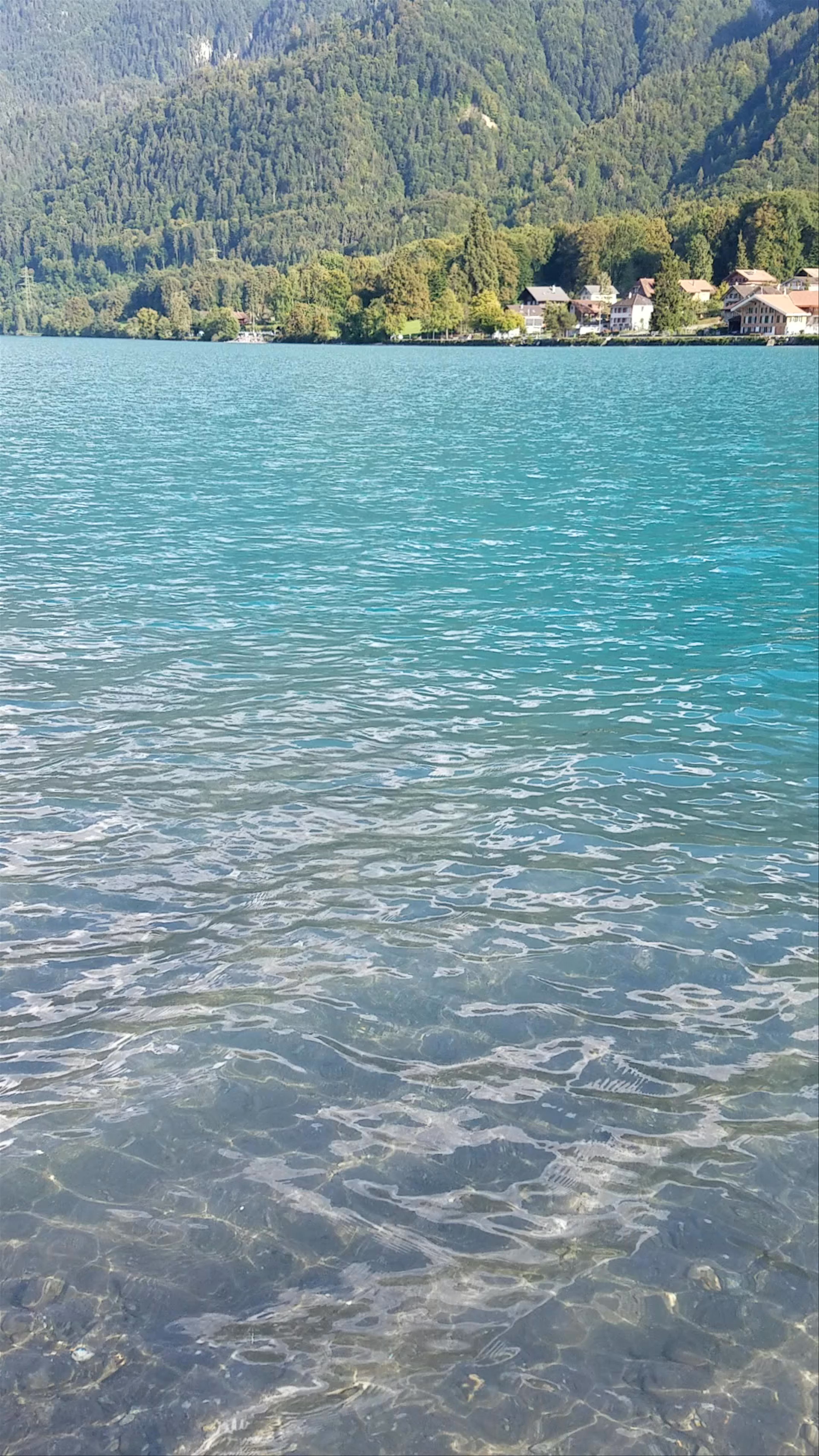 Serene Waters of Lake Brienz, Switzerland