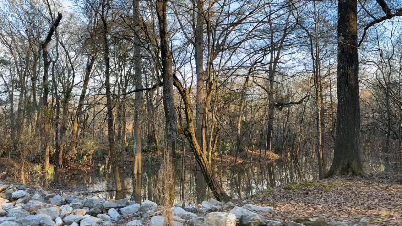 Le Fleur's Bluff State Park - Parks Near Me - Jackson, Mississippi