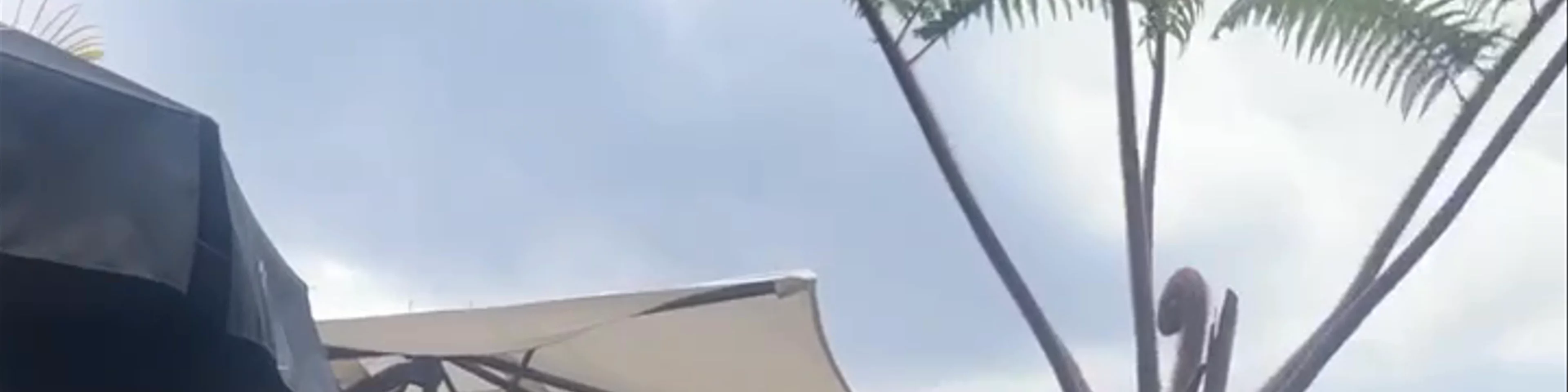 Los Tres Tiempos