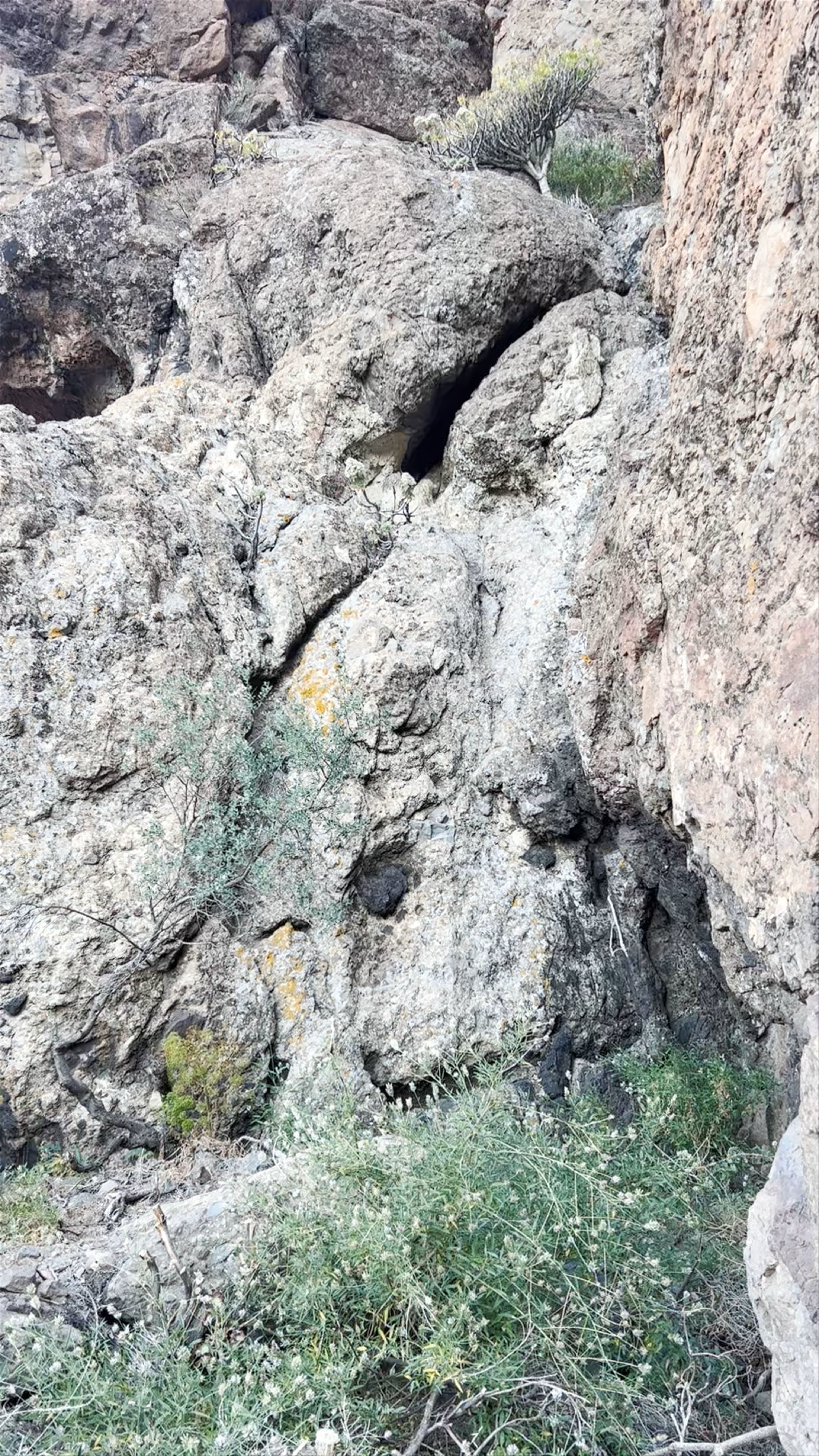Ruta de La Plata Trek: Raw Mountain Adventure in Tejeda, Canary Islands