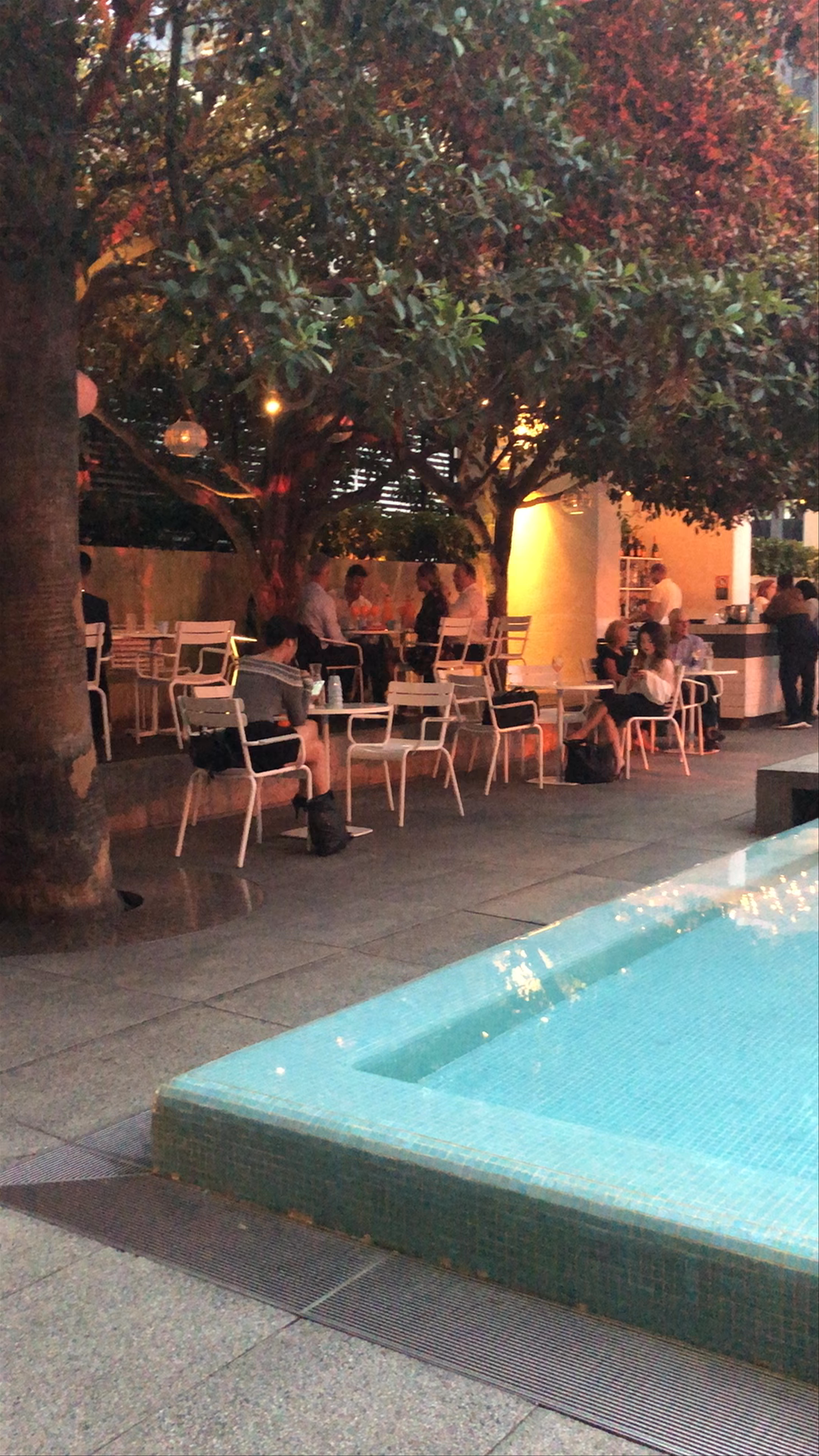 Evening Ambiance at Ivy Bar, Sydney