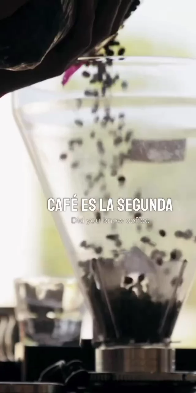 Contenido del creador