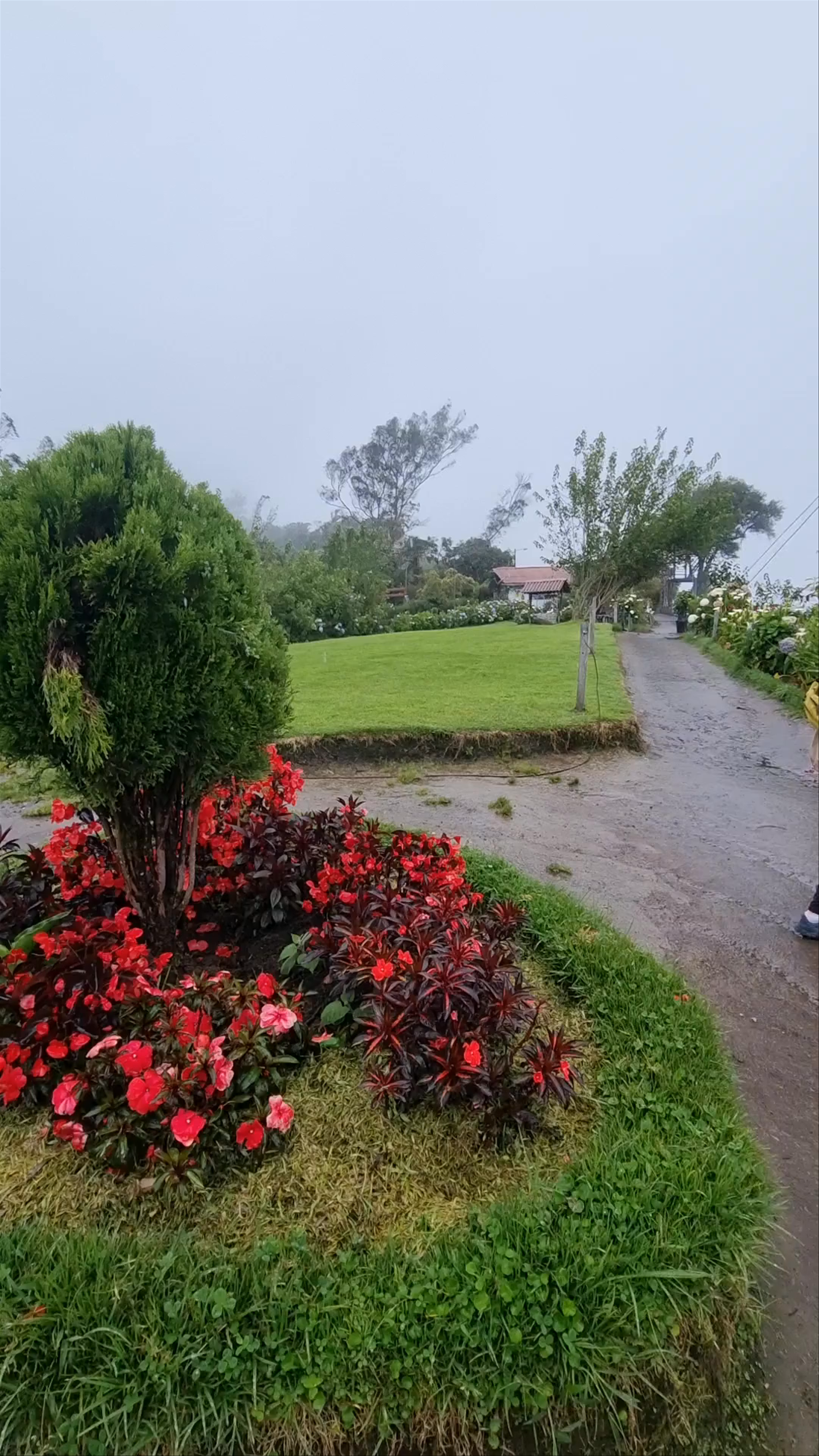 La Casa del Árbol Experience in Baños de Agua Santa, Ecuador