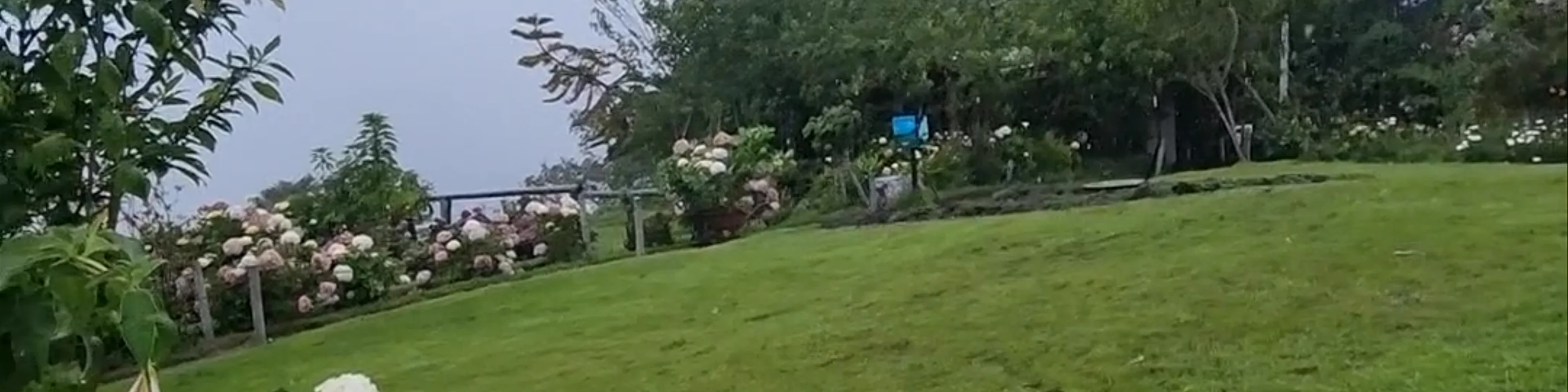 La Casa del Arbol