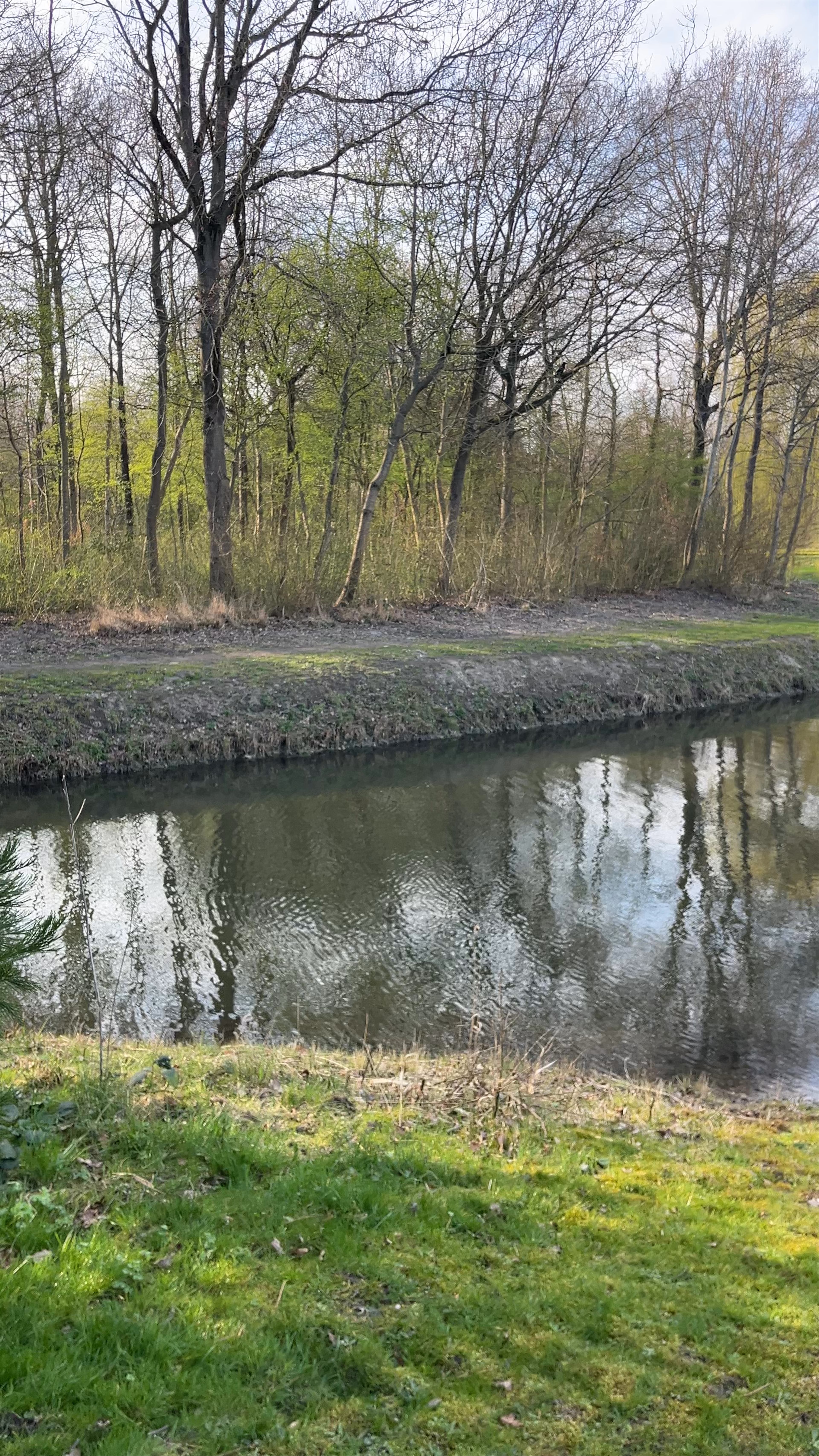 Haarlemmermeerse Bos
