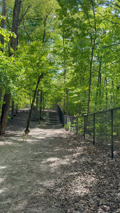 Timber Creek Park - Dog Parks Near Me - Gloucester Township, New Jersey