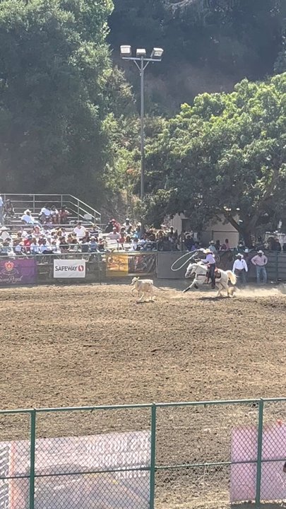 Rowell Ranch Rodeo - Rodeo Near Me - Castro Valley, California