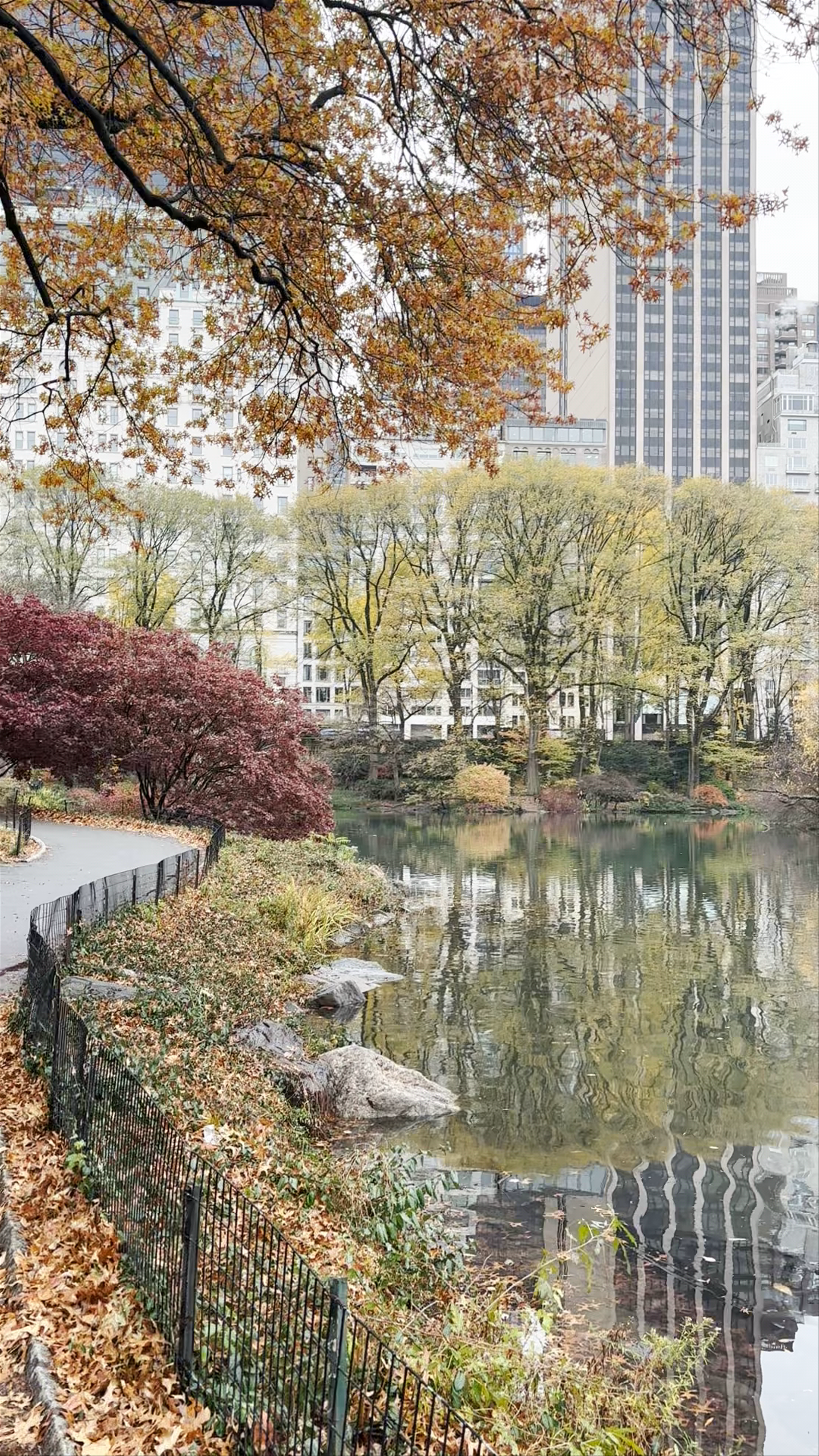 The Pond at Central Park