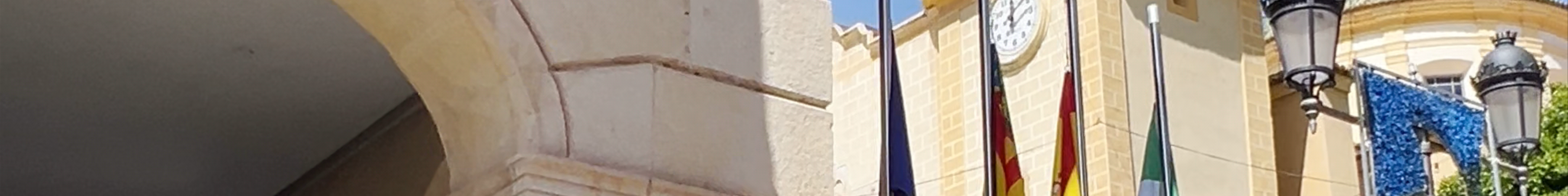 Tours & experiences in San Vicent del Raspeig