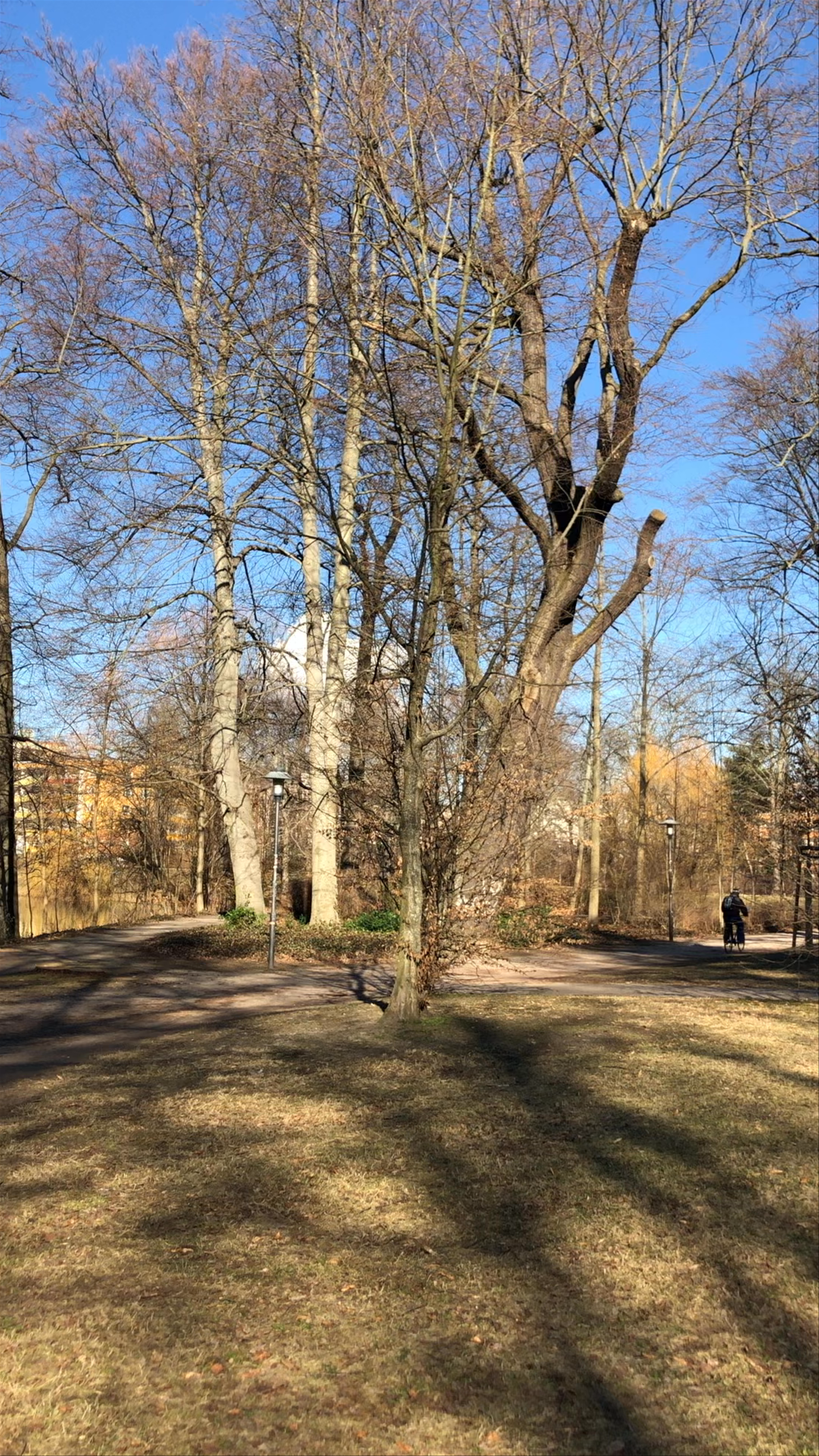 Goethepark