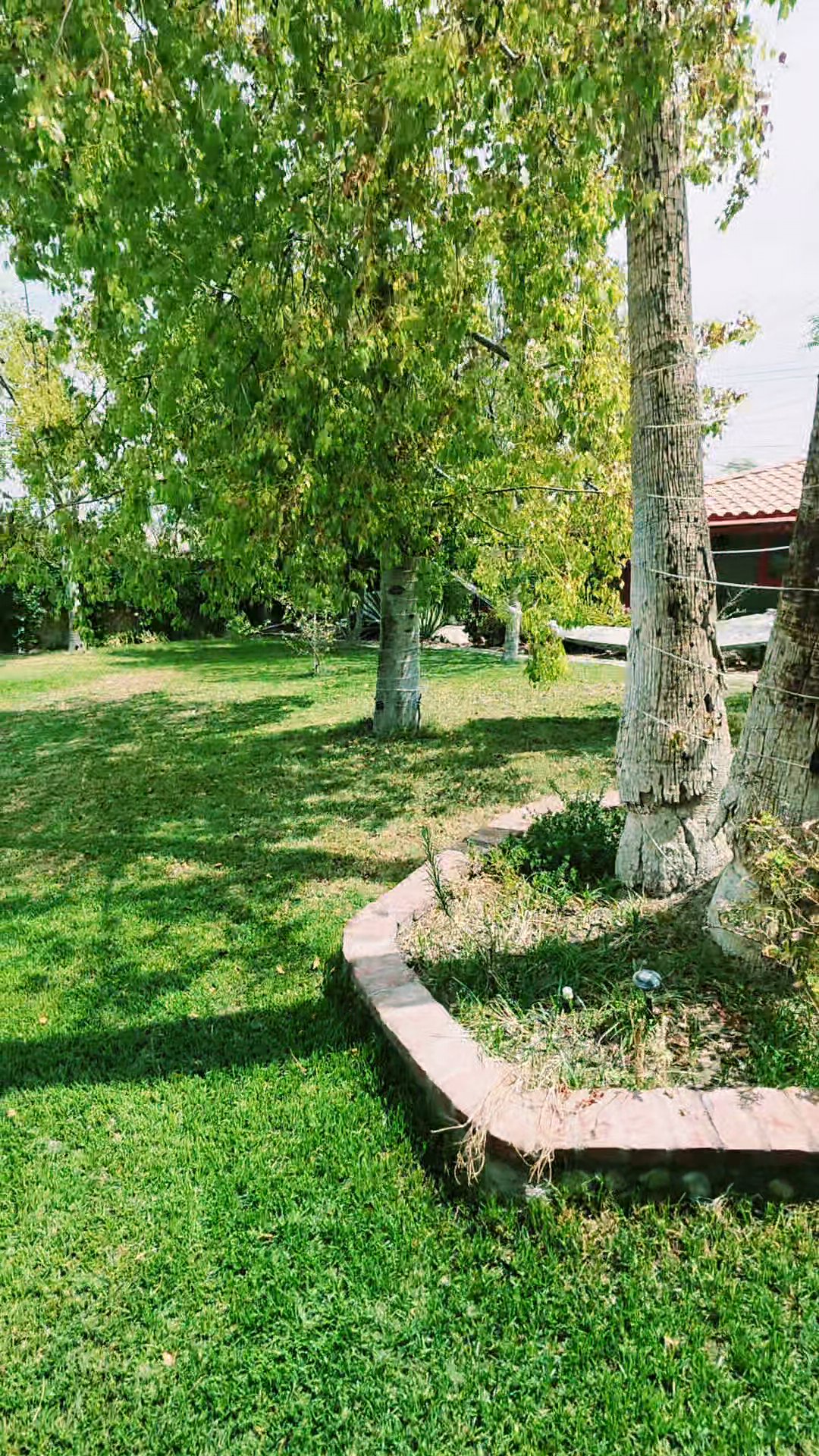 Listing photo-2