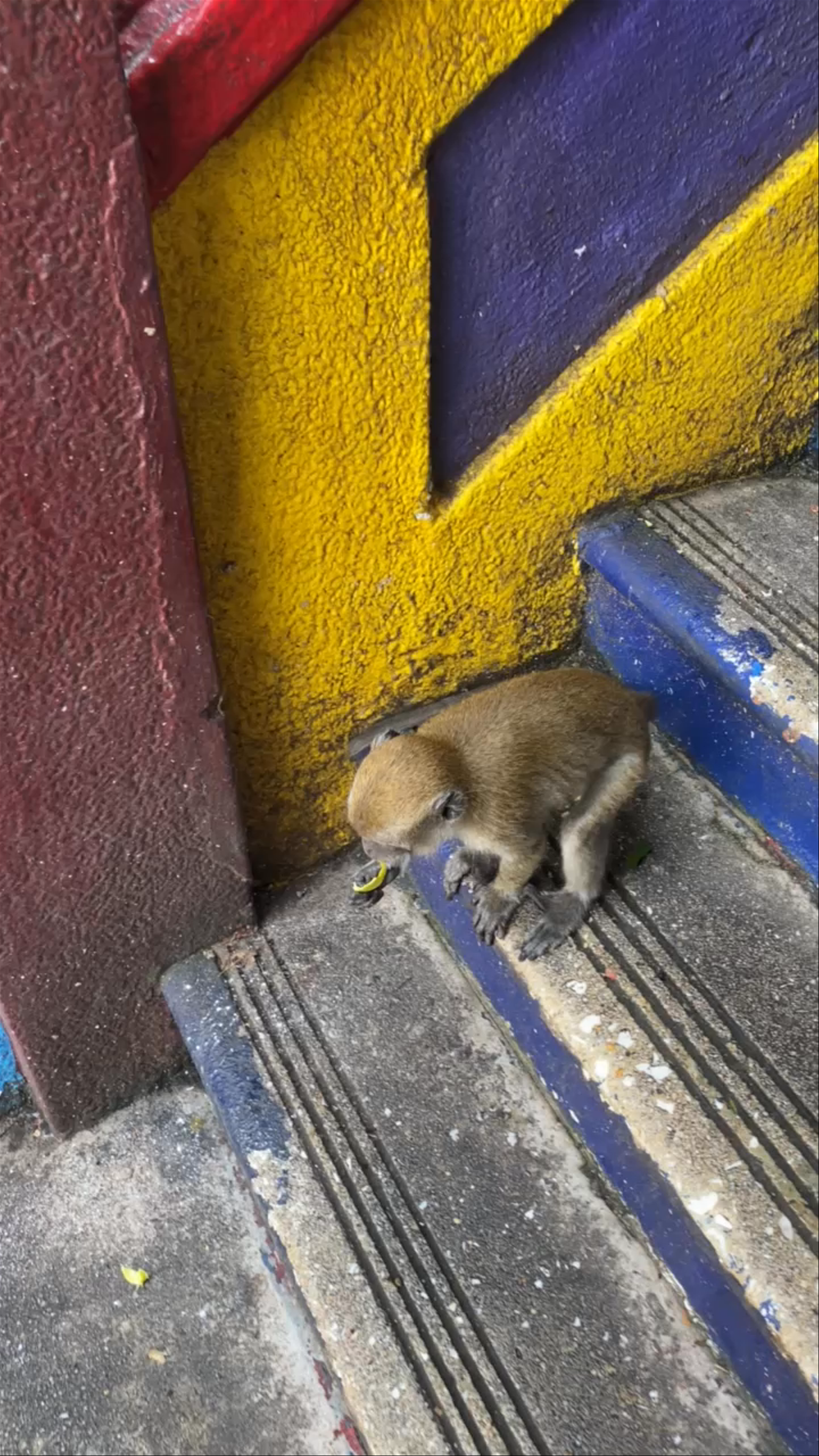 Batu Caves: Vibrant Steps and Playful Monkeys in Selangor, Malaysia