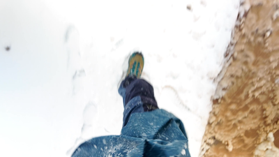 Soudainement en Antarctique