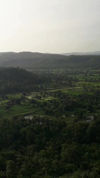 Photo of Medha ,songdh tapi, 