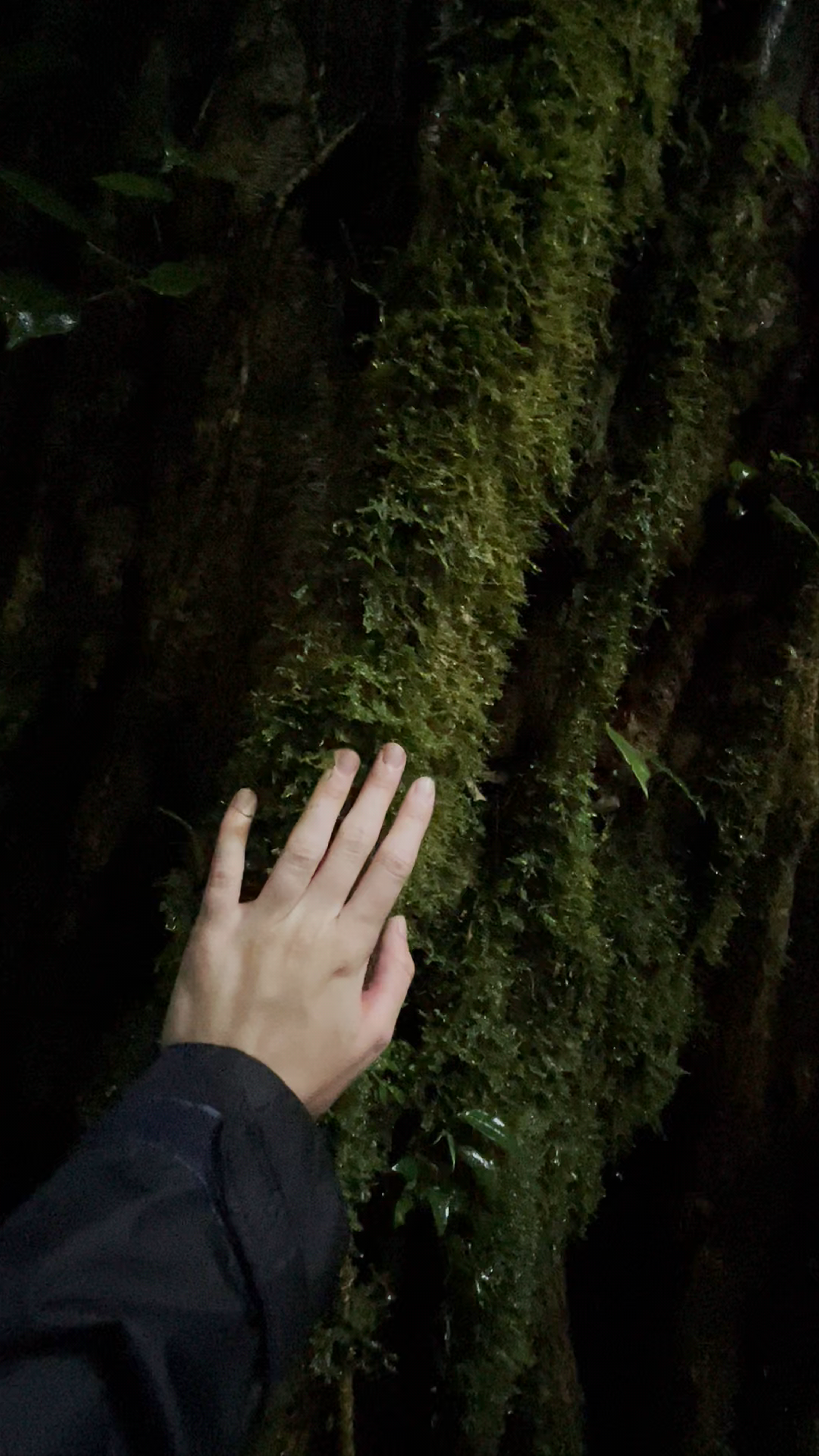 Lost and Found Hostel