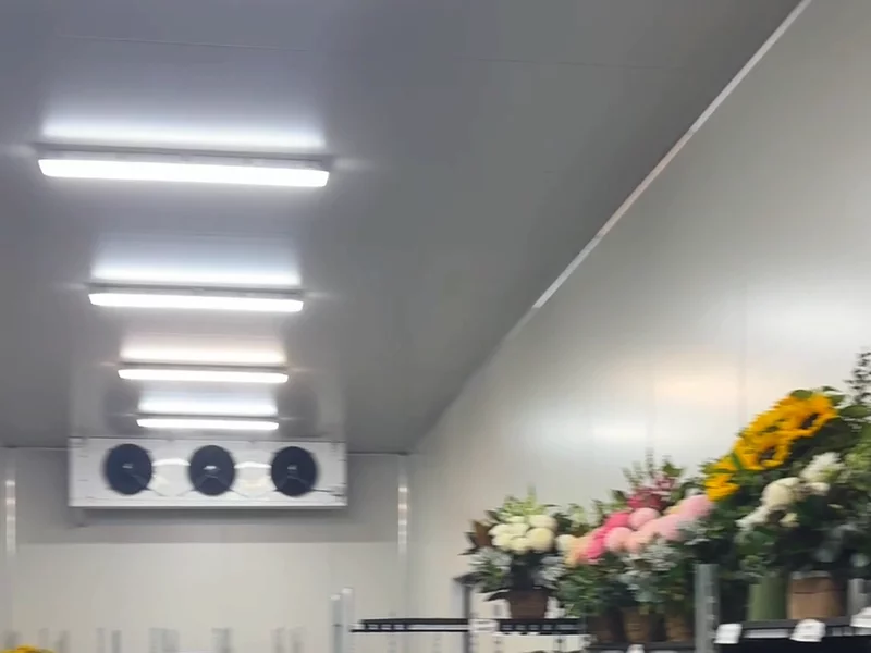 Ugc for Flowers for Everyone