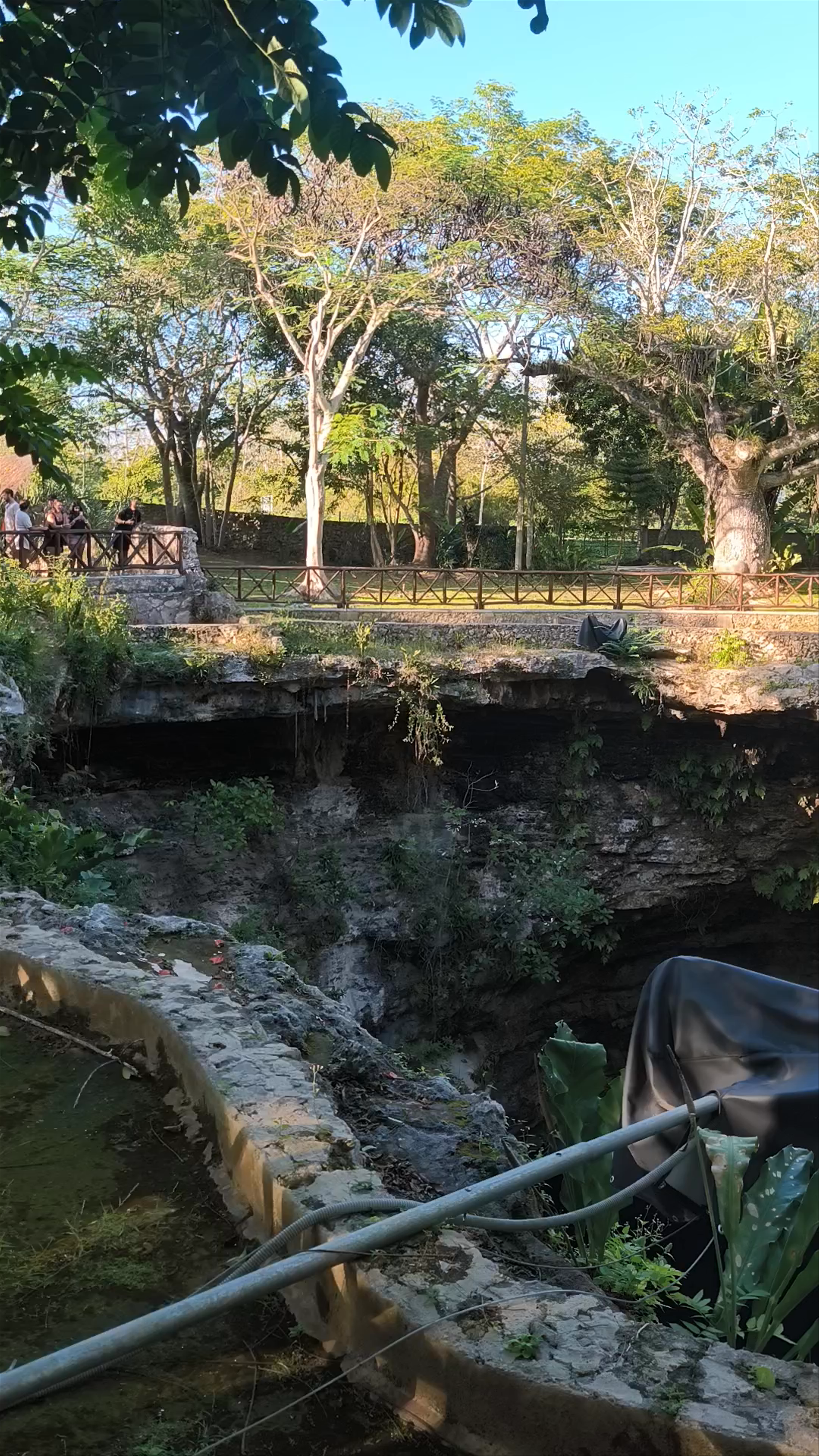 Exploring Cenote Saamal: A Hidden Natural Wonder in Valladolid, Yucatán