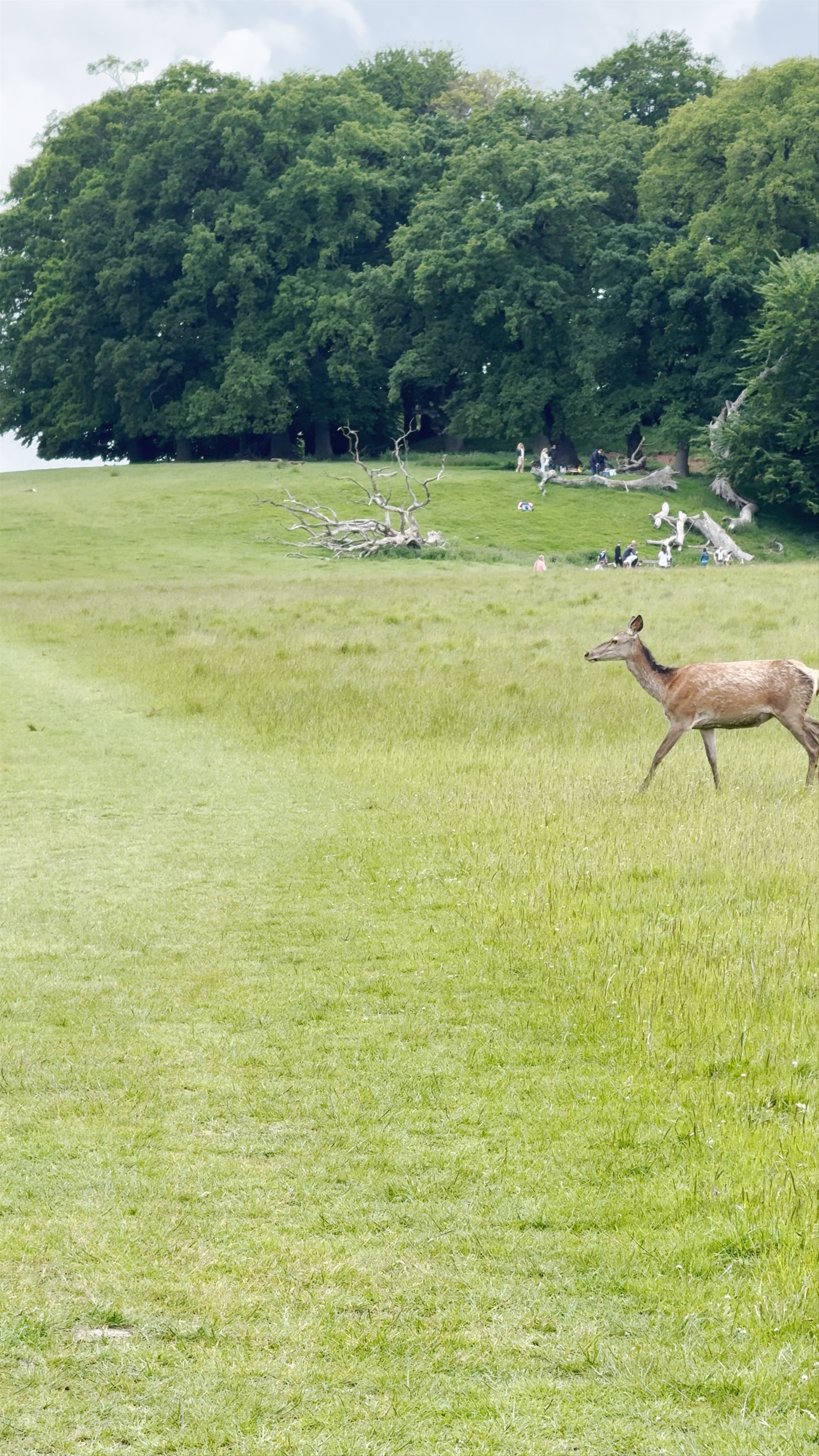 The Hermitage Hunting Lodge