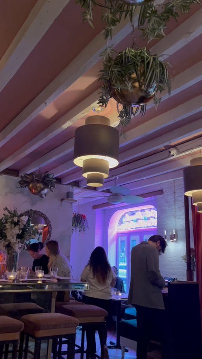 Ladybird - Restaurant Ambiance - Vegan Near Me - New York, New York