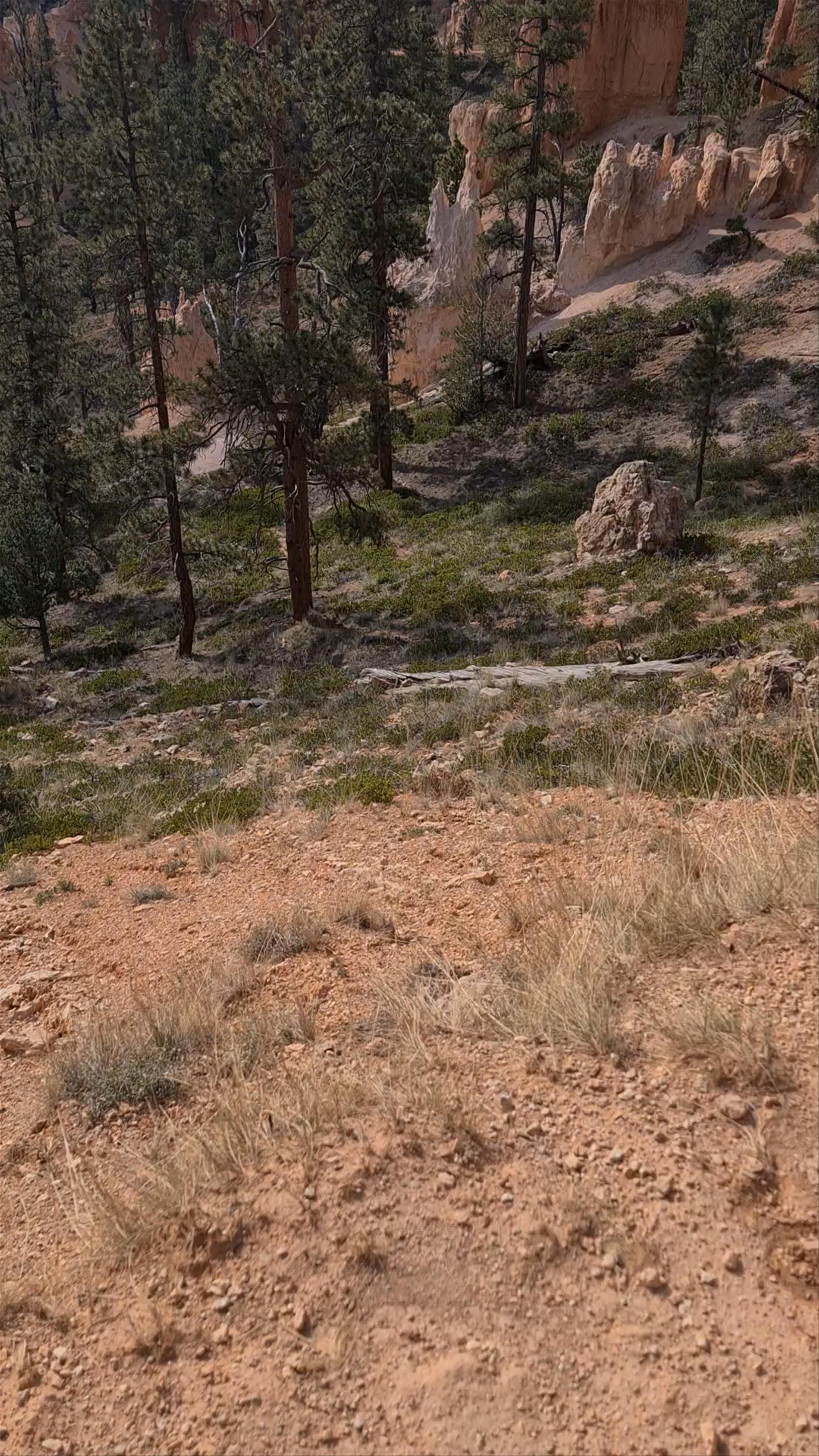 Peek-A-Boo Trailhead Adventure at Bryce Point, Utah