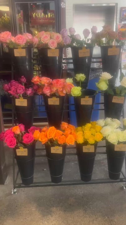 Perfect Pots - Perfect Pots Fresh blooms at The historic Lancaster Central Market - Gardeners Near Me - Strasburg, Pennsylvania