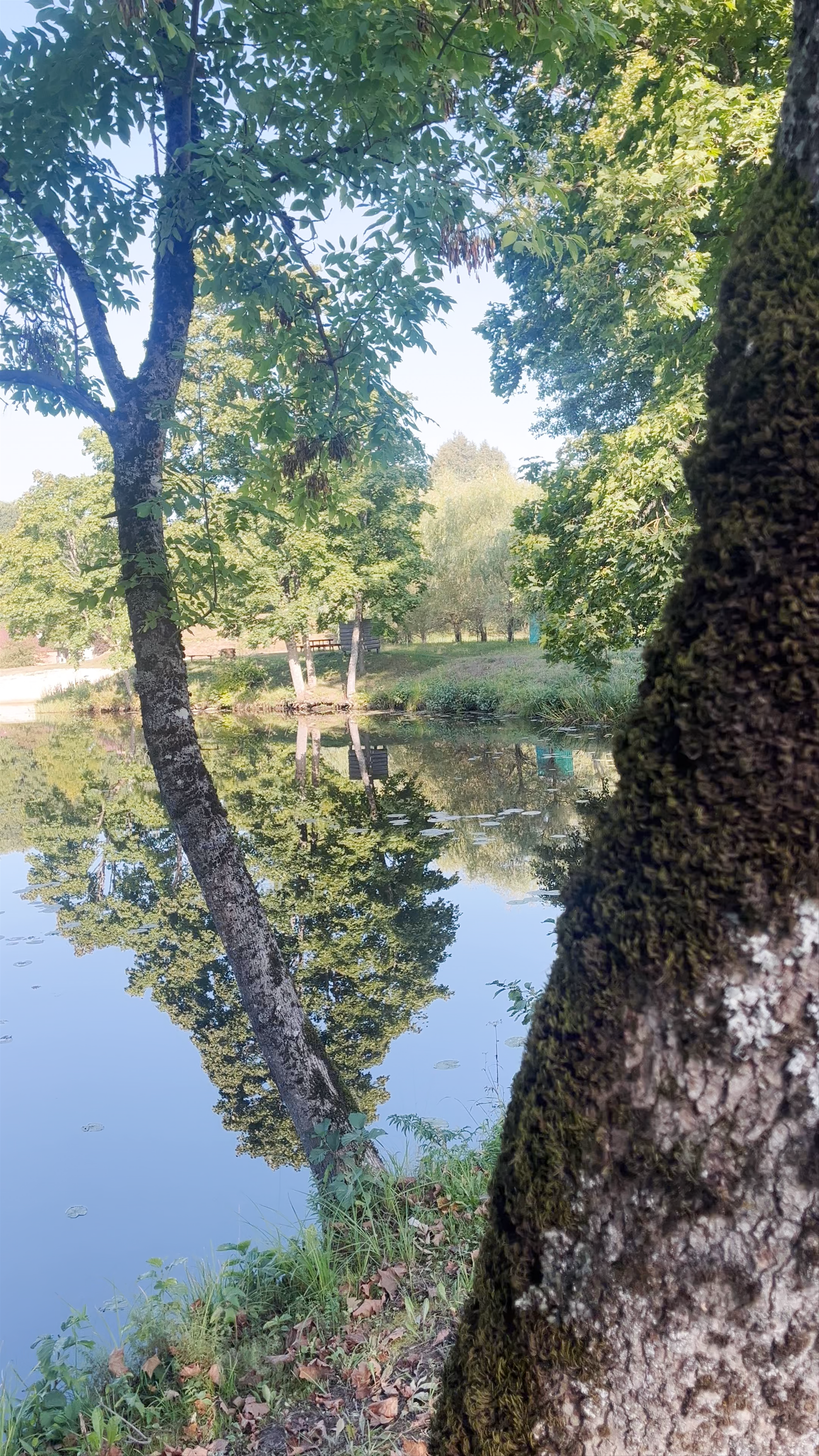 Garsenes dzirnavu dīķis