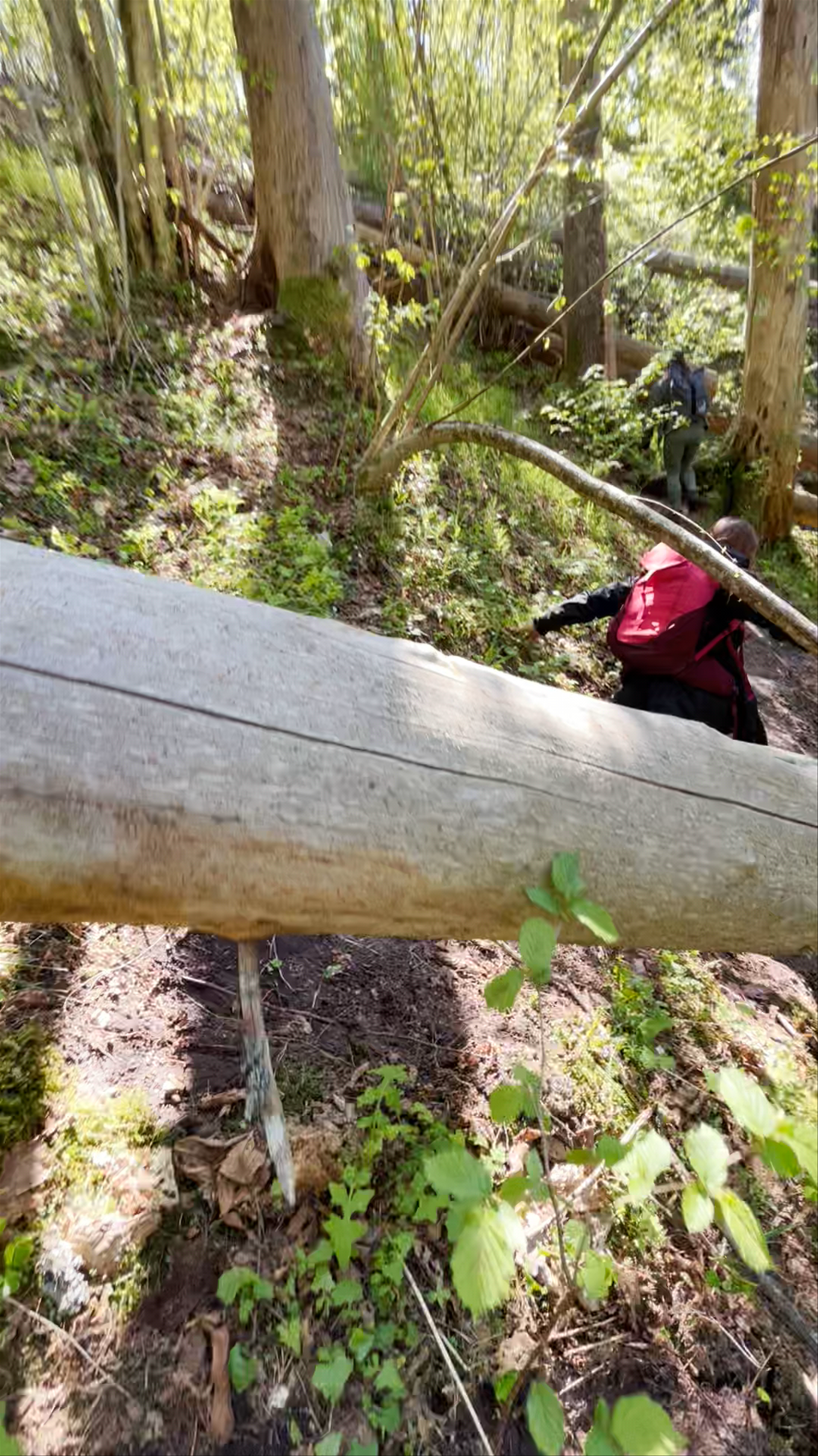 Werewolf Trail Adventure in Sēme Parish, Latvia