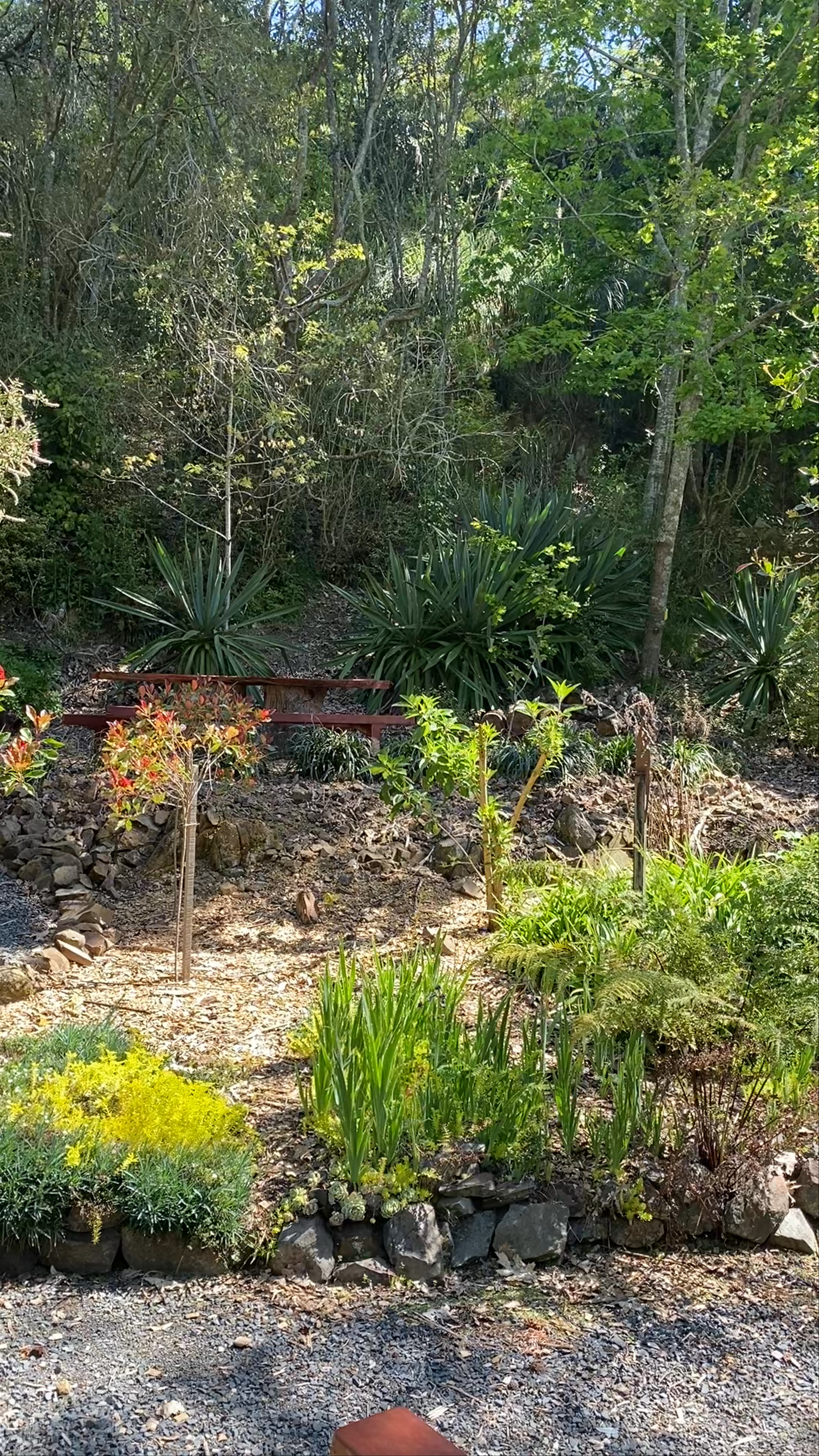 The Sculpture Park at Waitakaruru Arboretum: A Tranquil Nature Escape in Hamilton