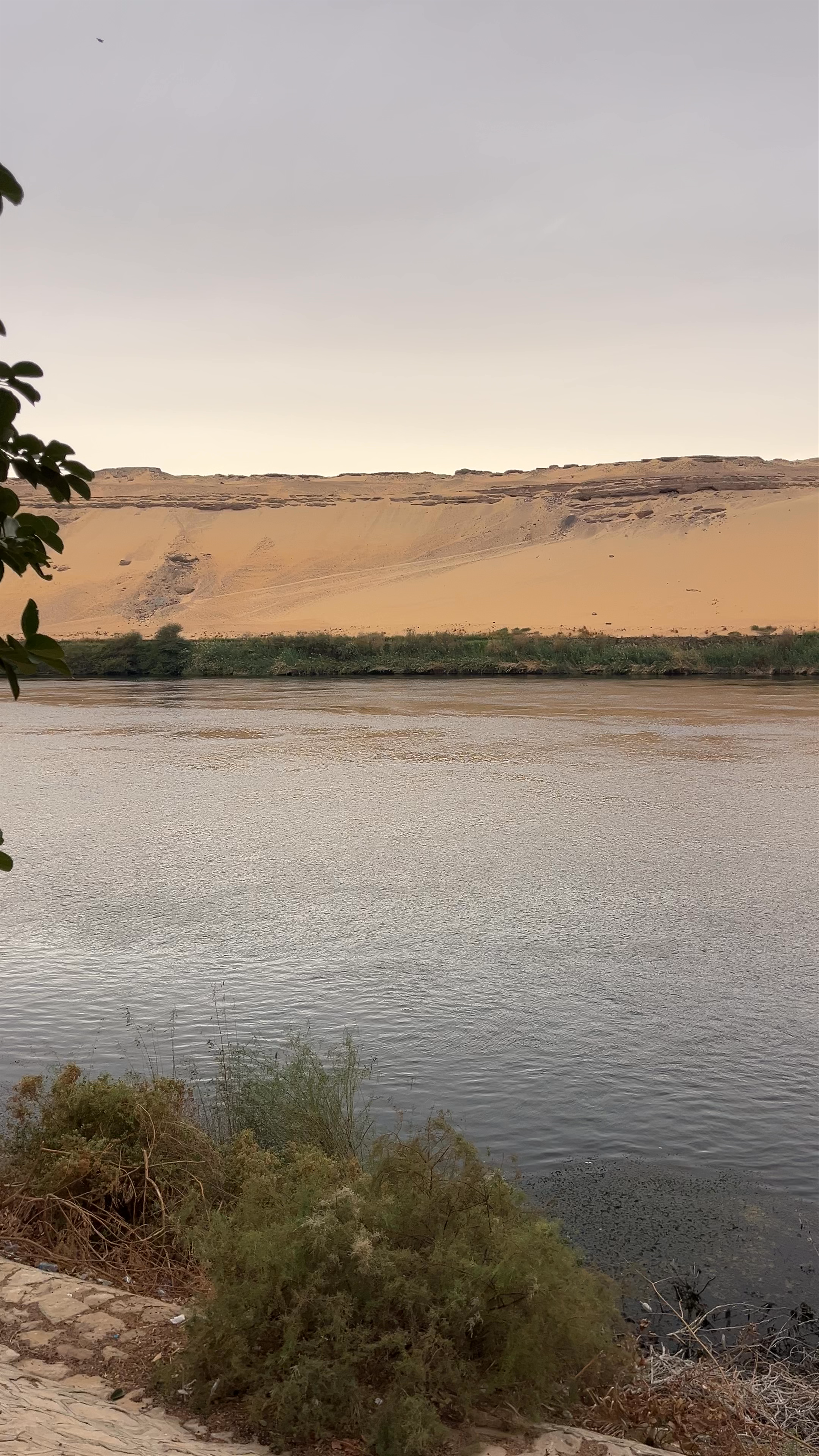 Aswan Botanical Garden