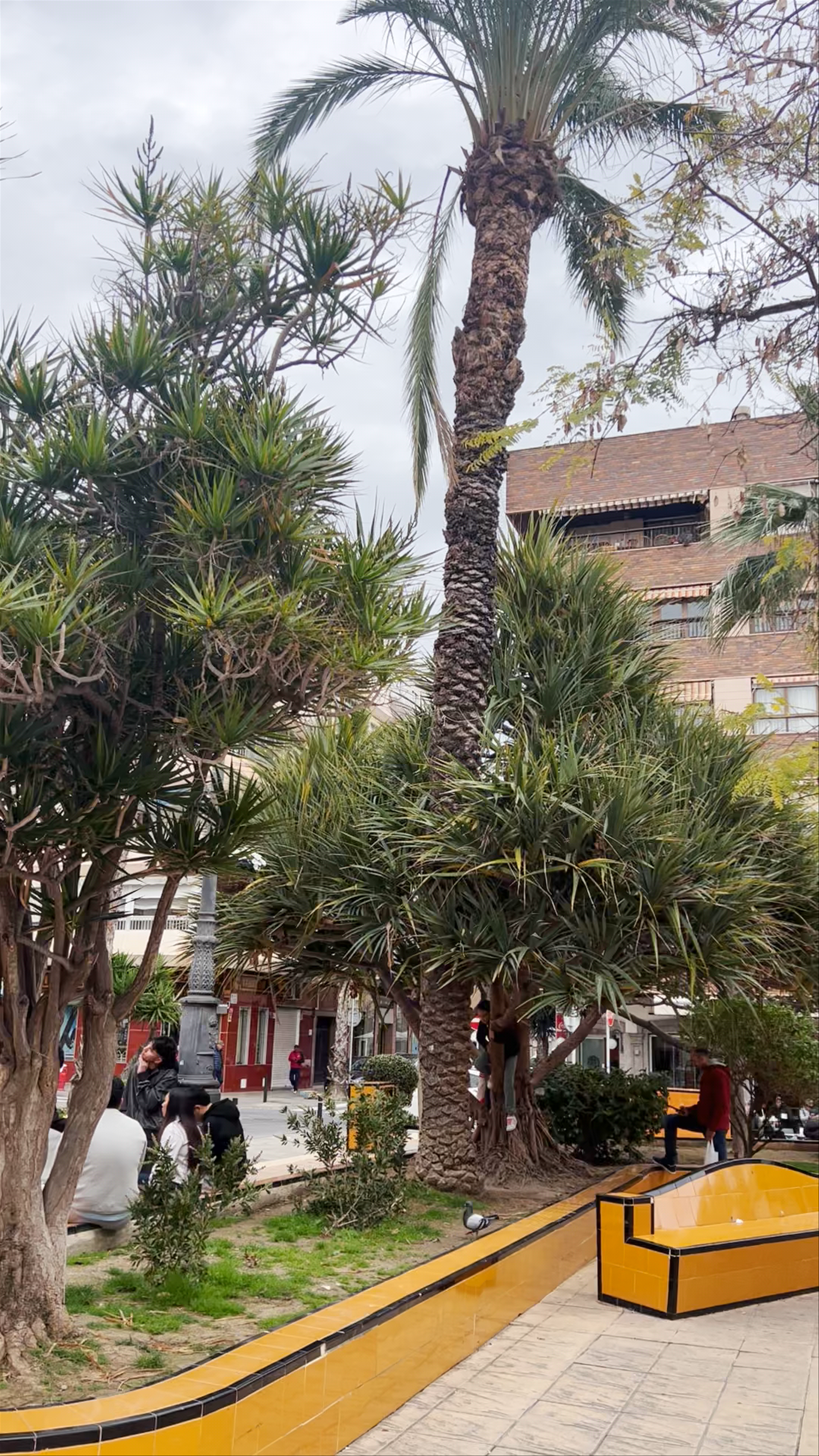 Parque de la Plaza de la Constitución