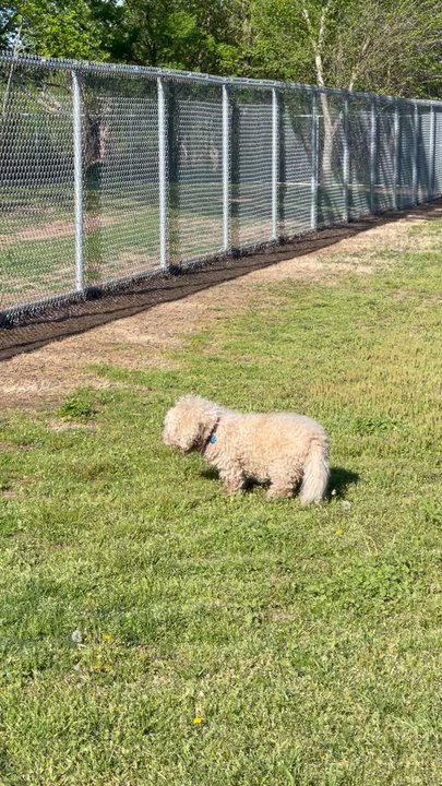 Ruby Grant Dog Park - Dog Parks Near Me - Norman, Oklahoma