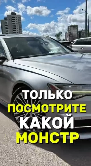 Только посмотрите какой монстр