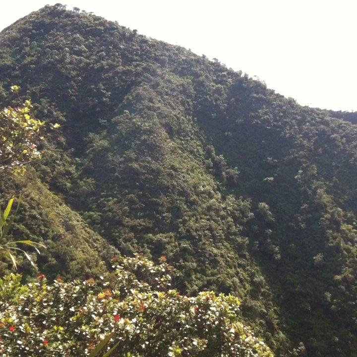 Wailupe Loop - 360 degree ridge view - Hiking Near Me - Honolulu, Hawaii