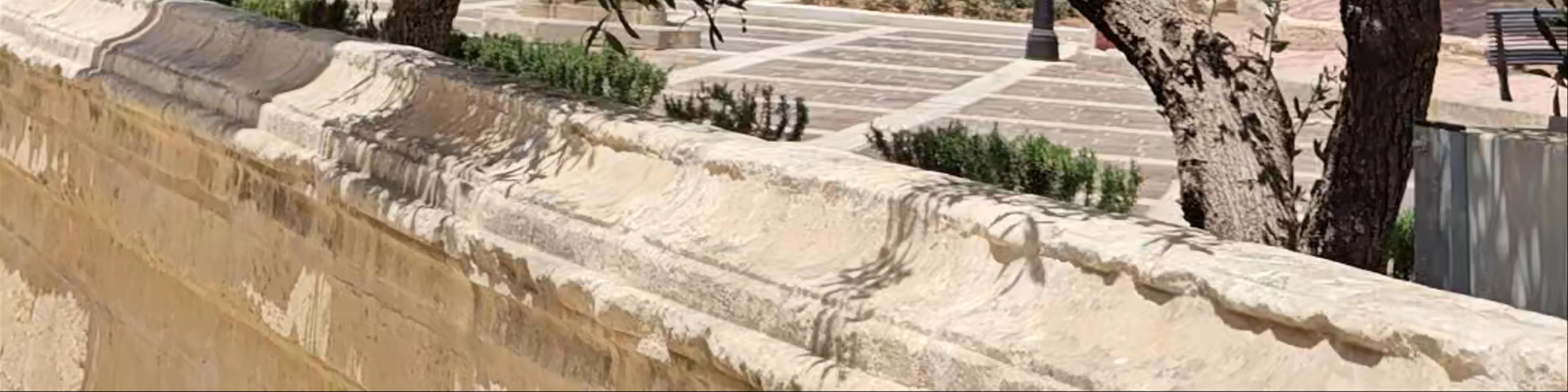 Kolleġġjata u Proto-Parroċċa ta' San Pawl