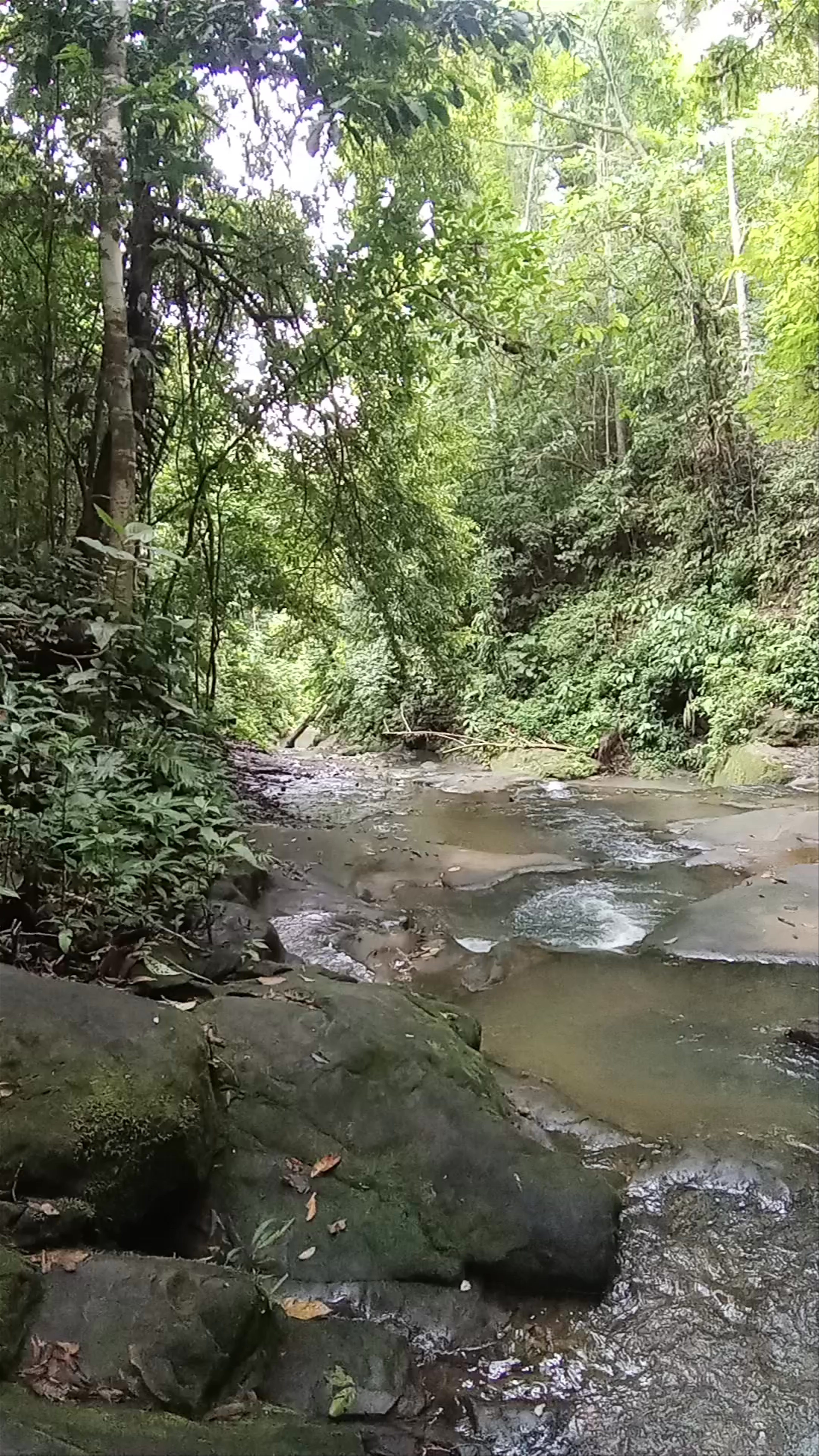 Bri Bri waterfalls