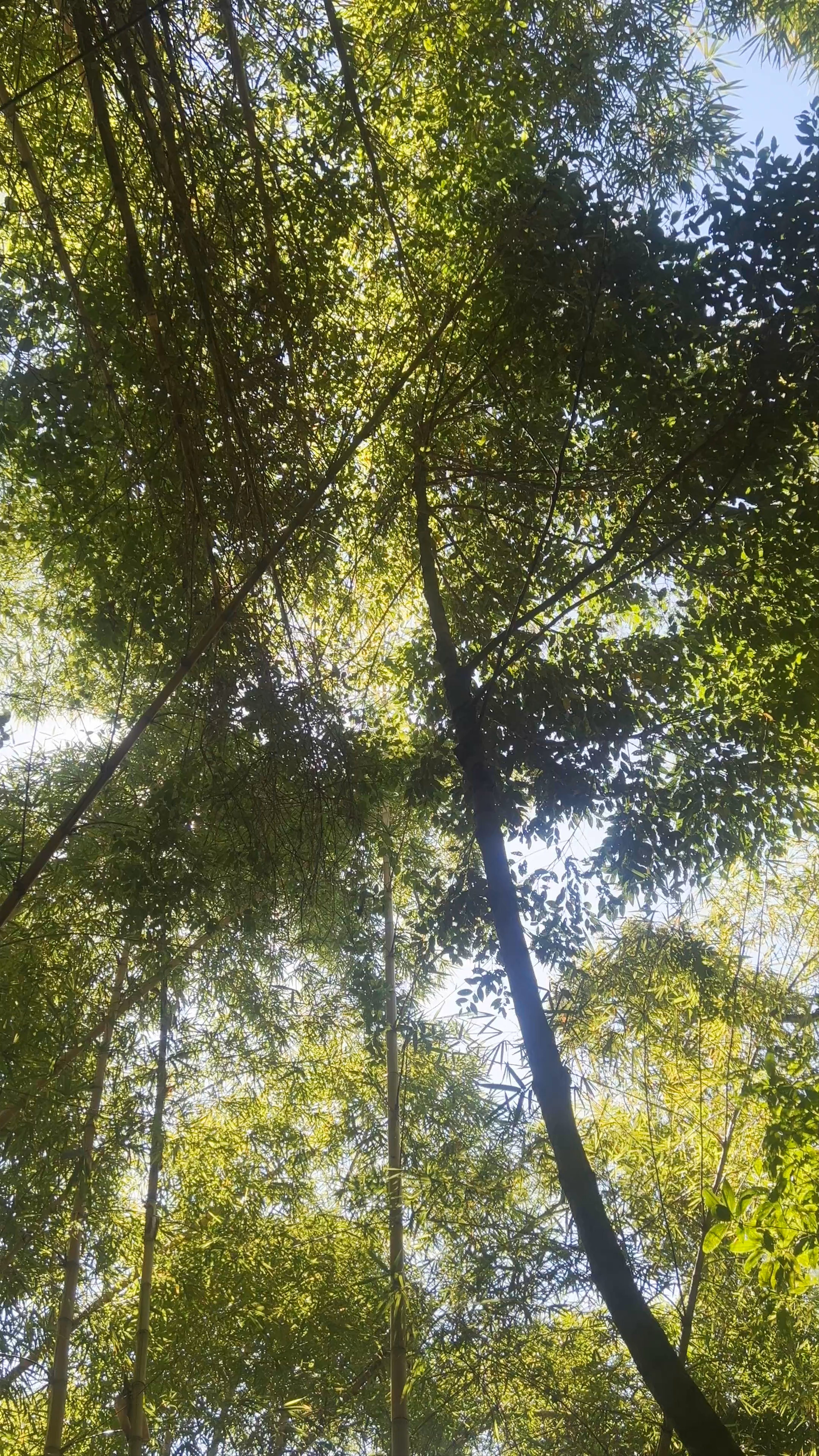 Cachoeira da Feiticeira - Abraão