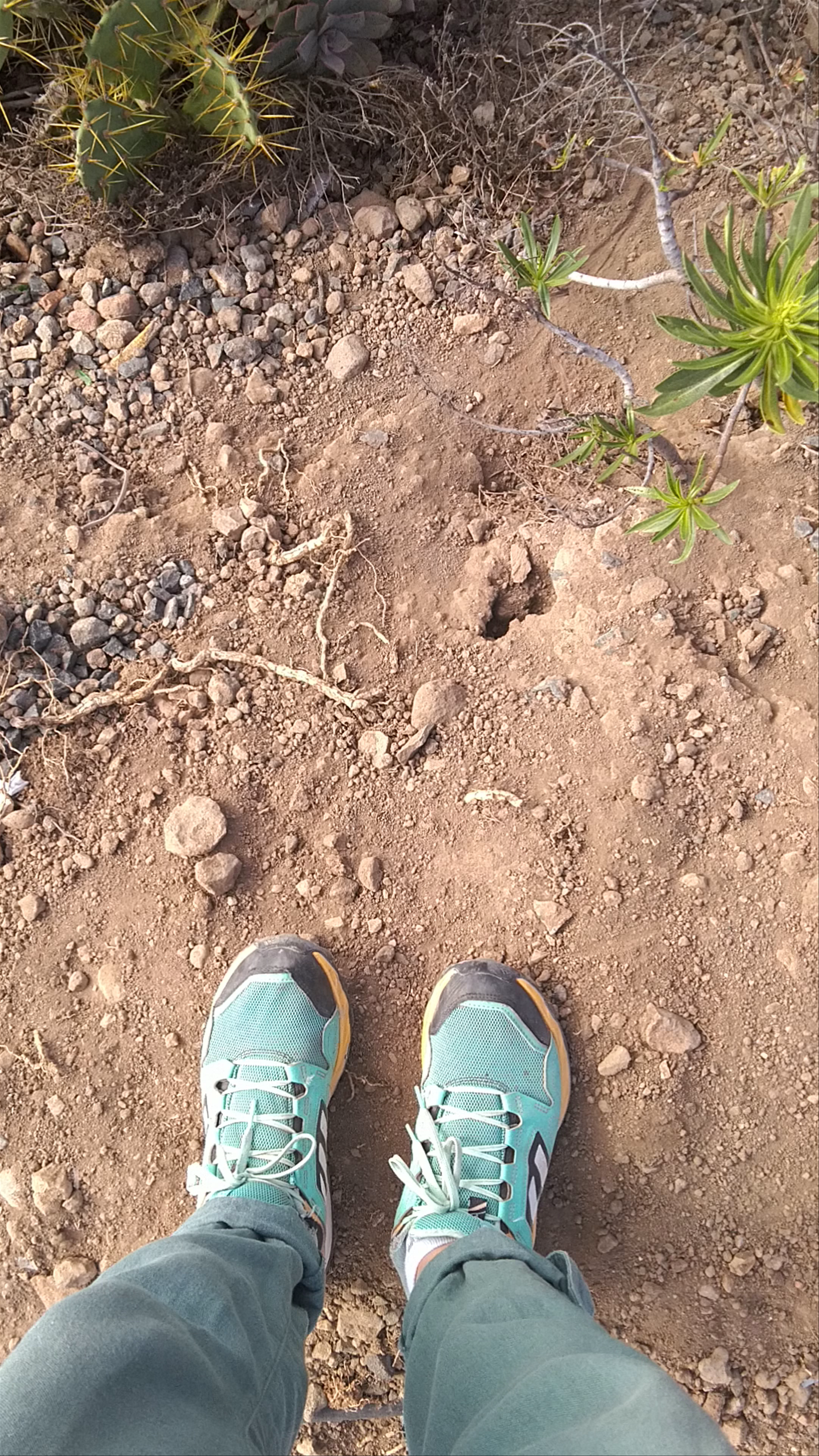 Mirador De La Montaña De Arucas