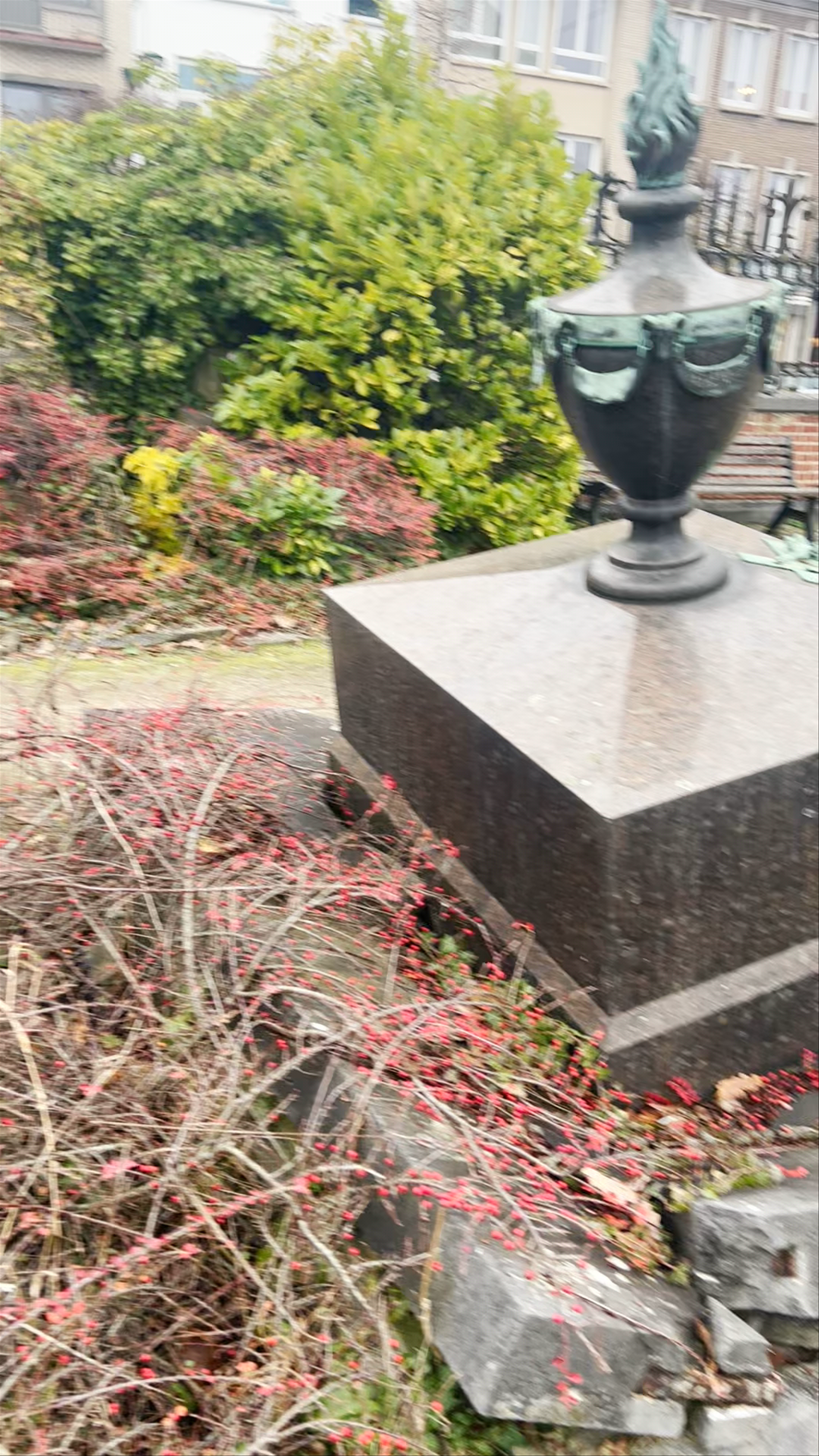 Cemetery Dieweg: Haunting Beauty in Uccle, Belgium